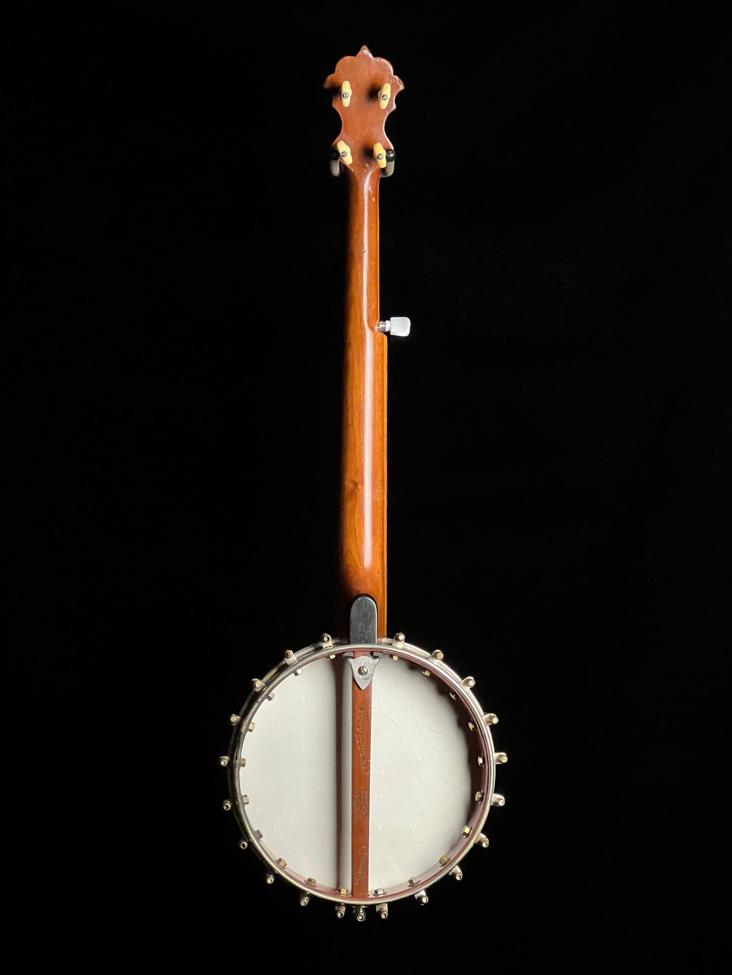 S.S. Stewart Open Back Banjo - Used