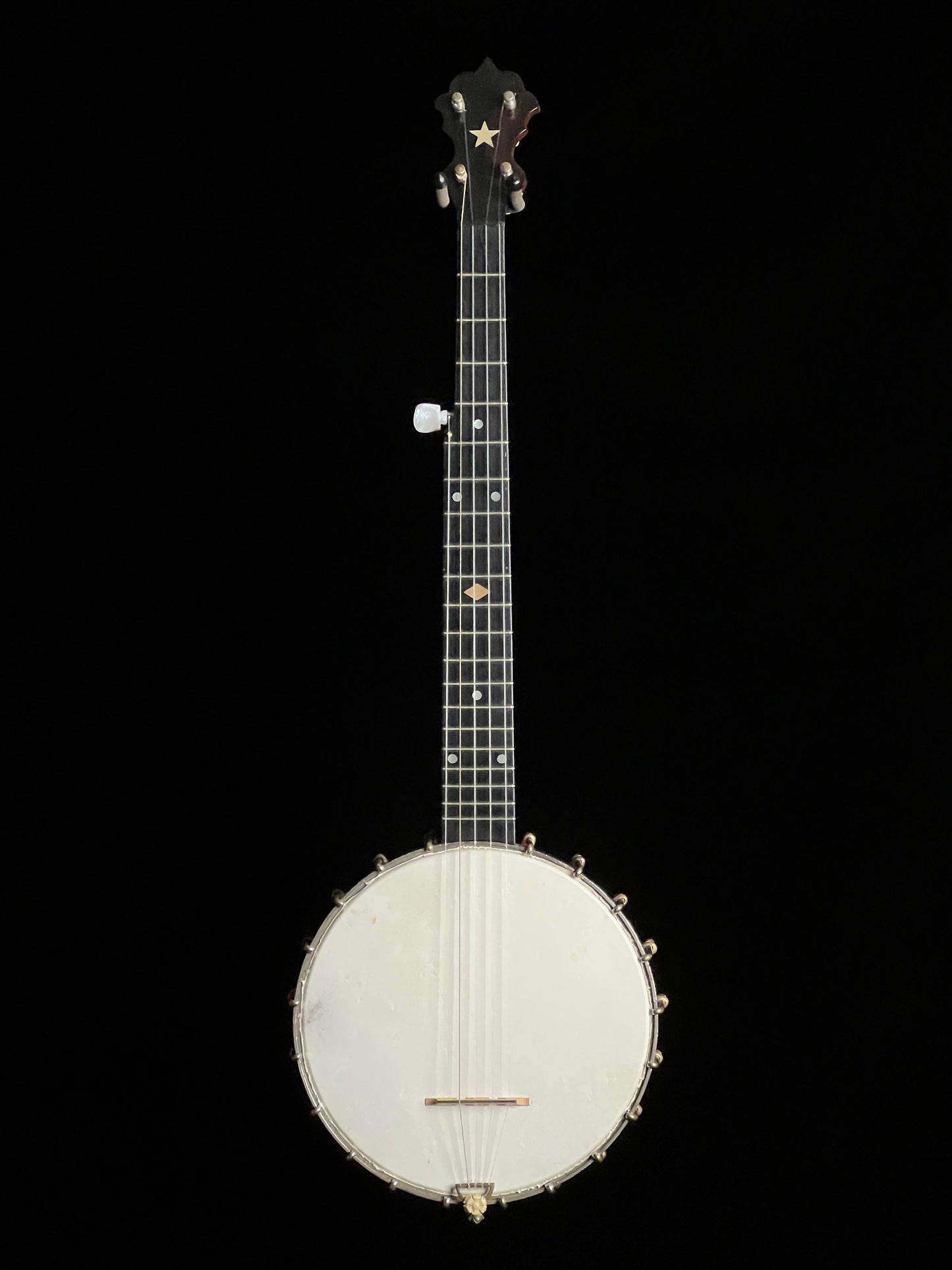 S.S. Stewart Open Back Banjo - Used
