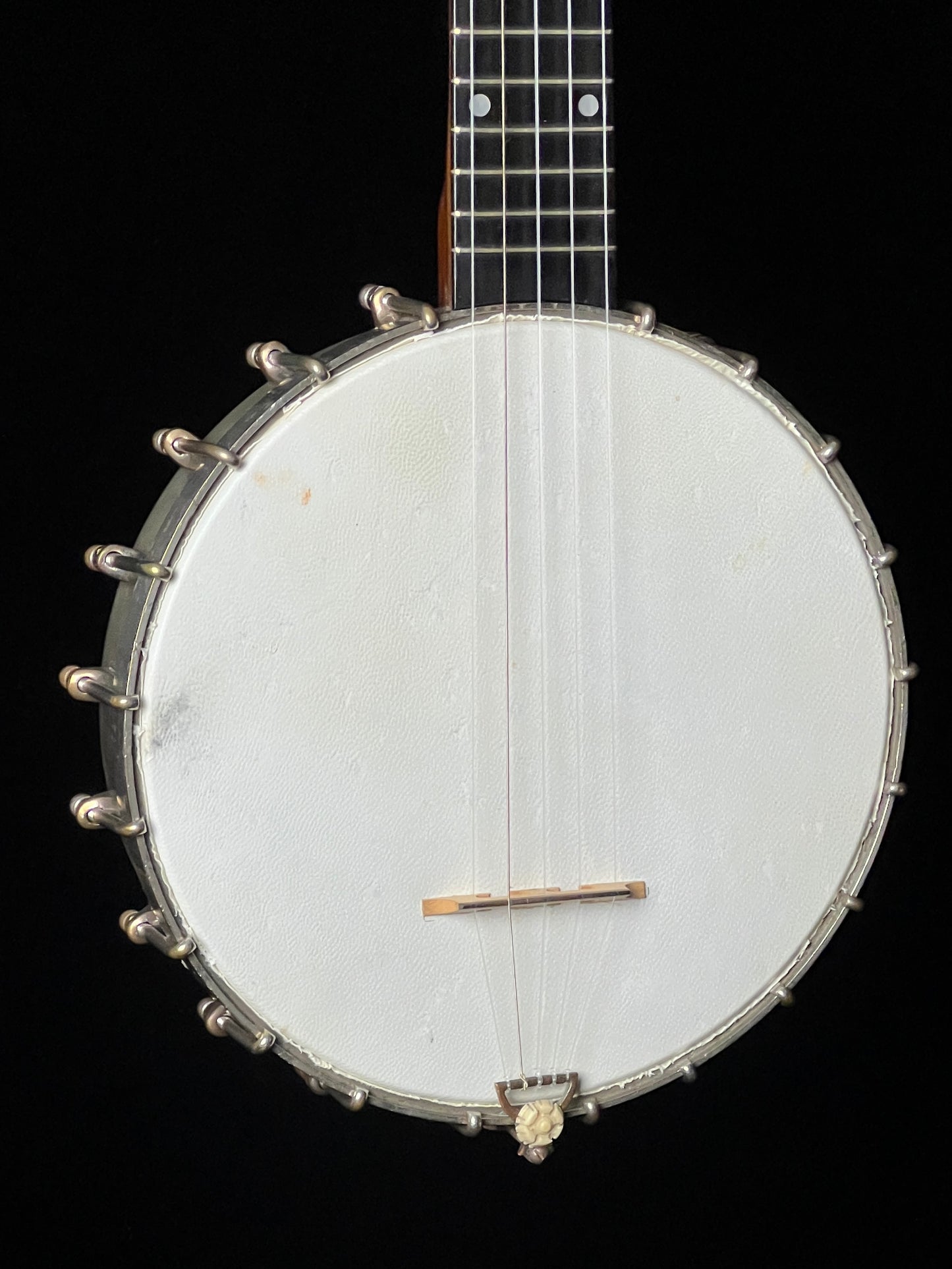 S.S. Stewart Open Back Banjo - Used