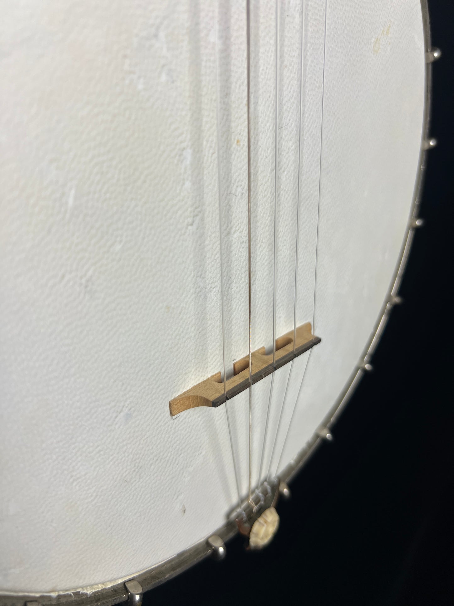 S.S. Stewart Open Back Banjo - Used