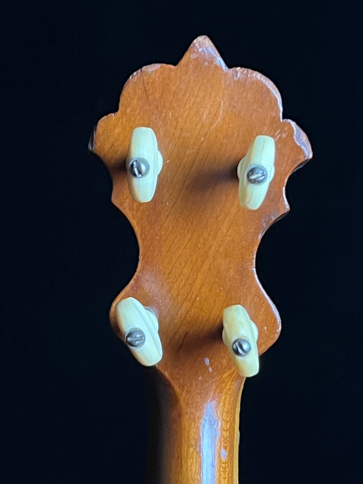 S.S. Stewart Open Back Banjo - Used