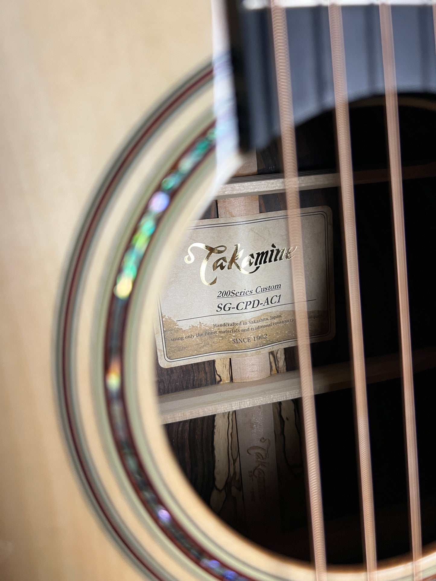 Takamine 200 Series Custom SG-CPD-AC1 Acoustic Guitar with Pickup Adirondack Spruce/Cocobolo - Used