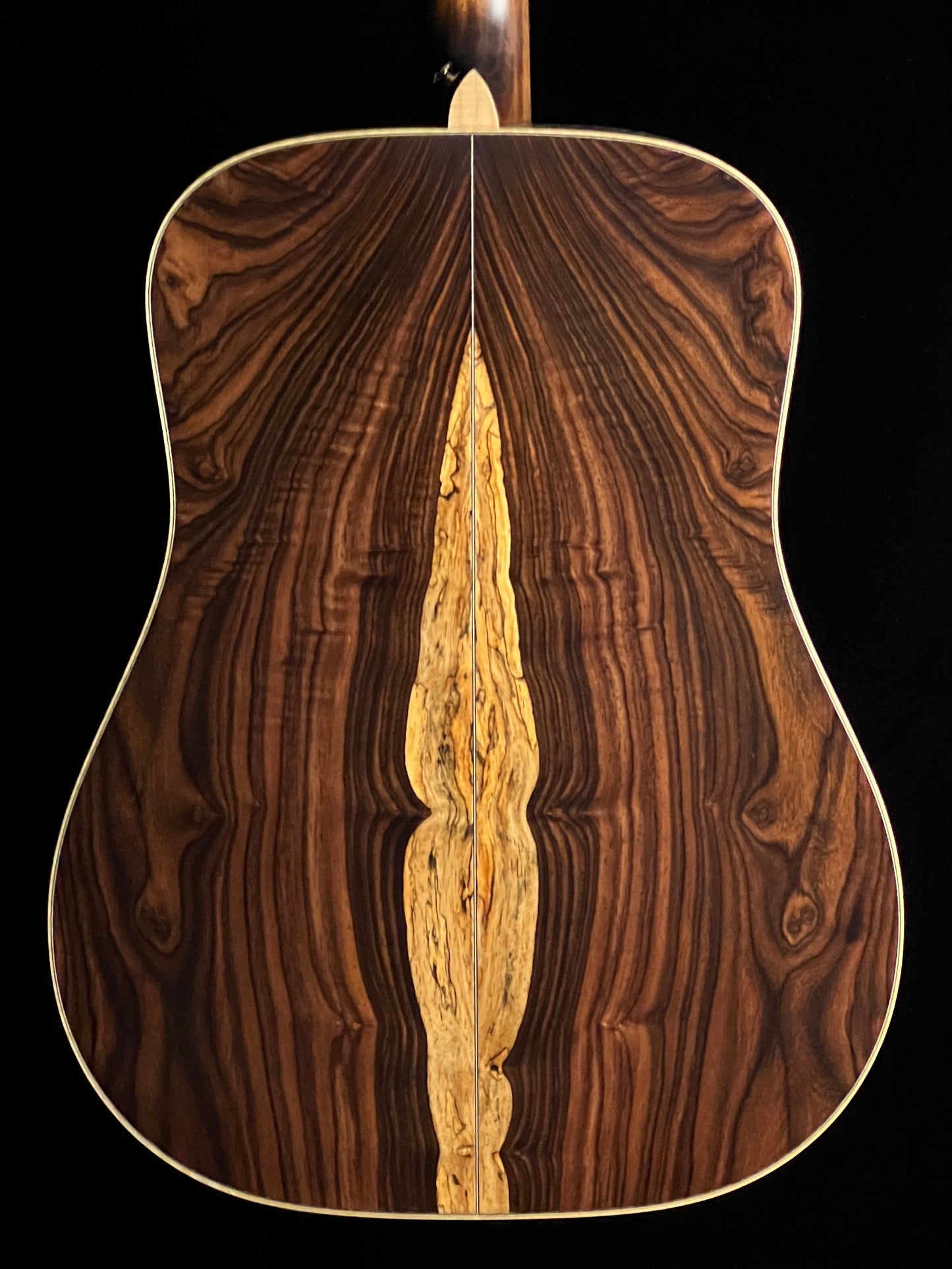 Takamine 200 Series Custom SG-CPD-AC1 Acoustic Guitar with Pickup Adirondack Spruce/Cocobolo - Used