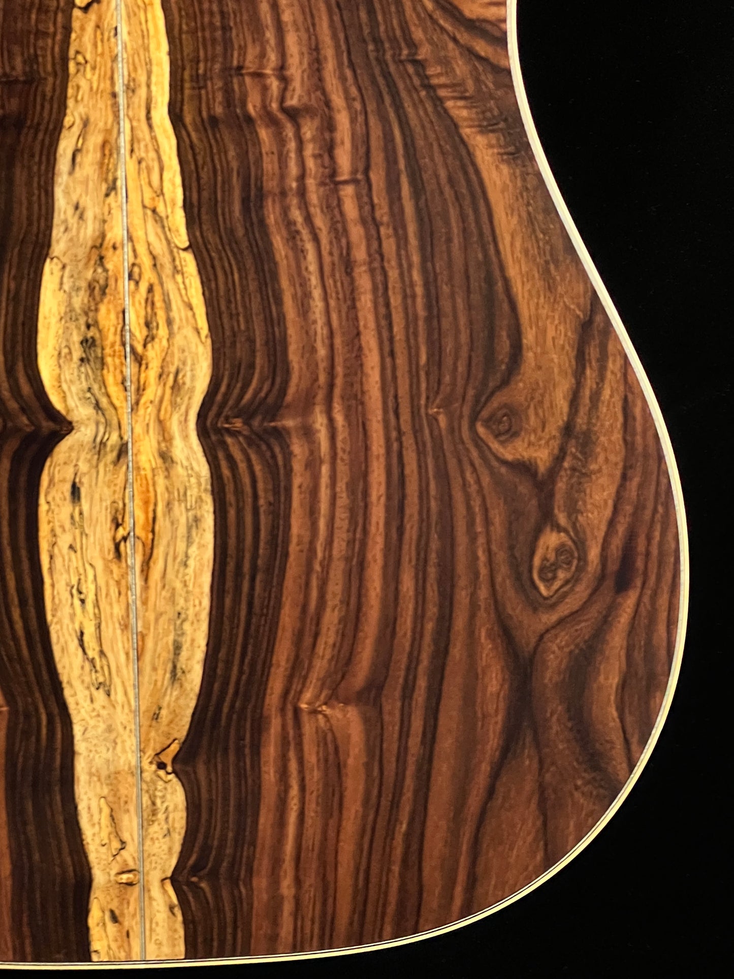 Takamine 200 Series Custom SG-CPD-AC1 Acoustic Guitar with Pickup Adirondack Spruce/Cocobolo - Used