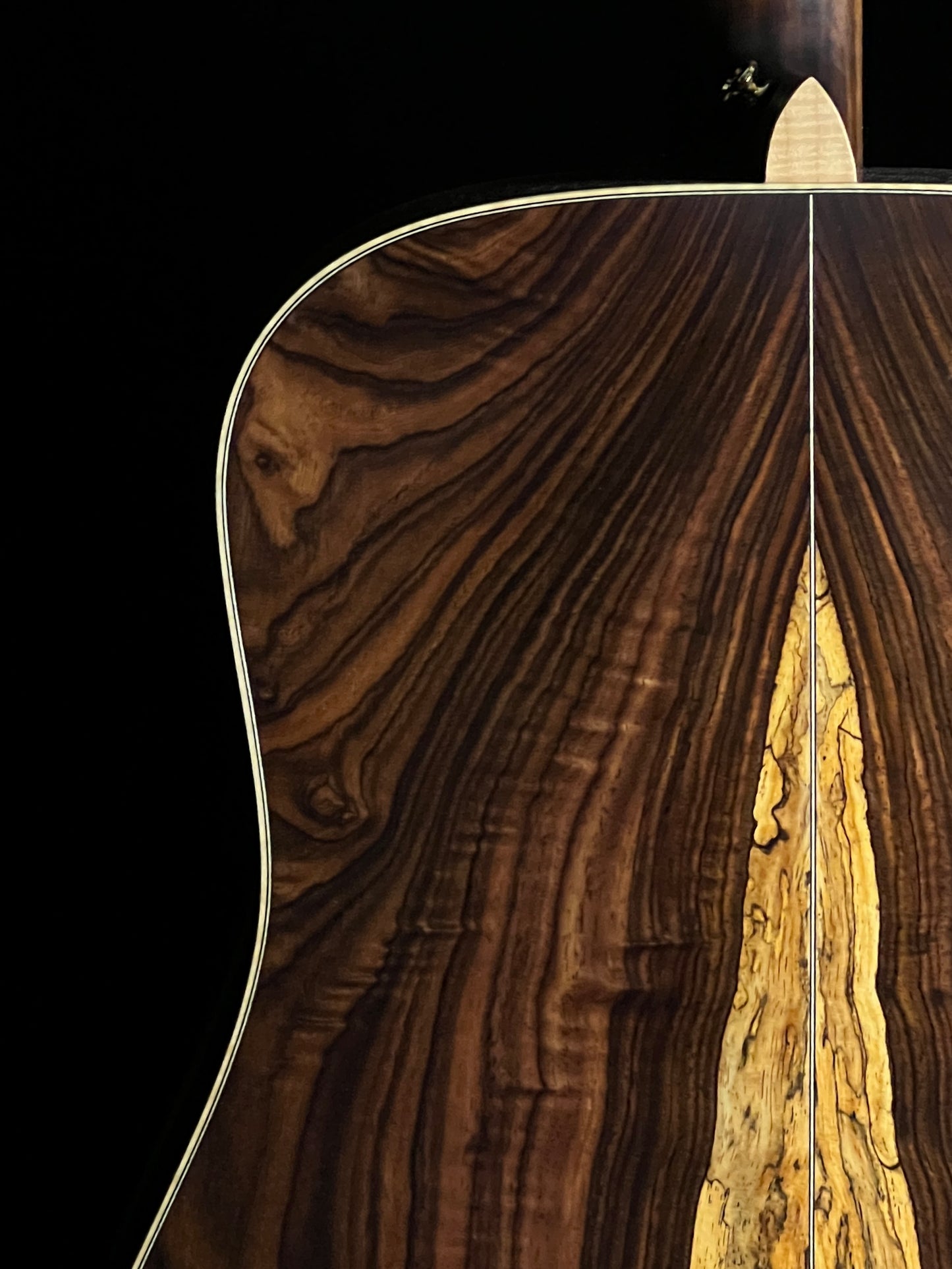 Takamine 200 Series Custom SG-CPD-AC1 Acoustic Guitar with Pickup Adirondack Spruce/Cocobolo - Used