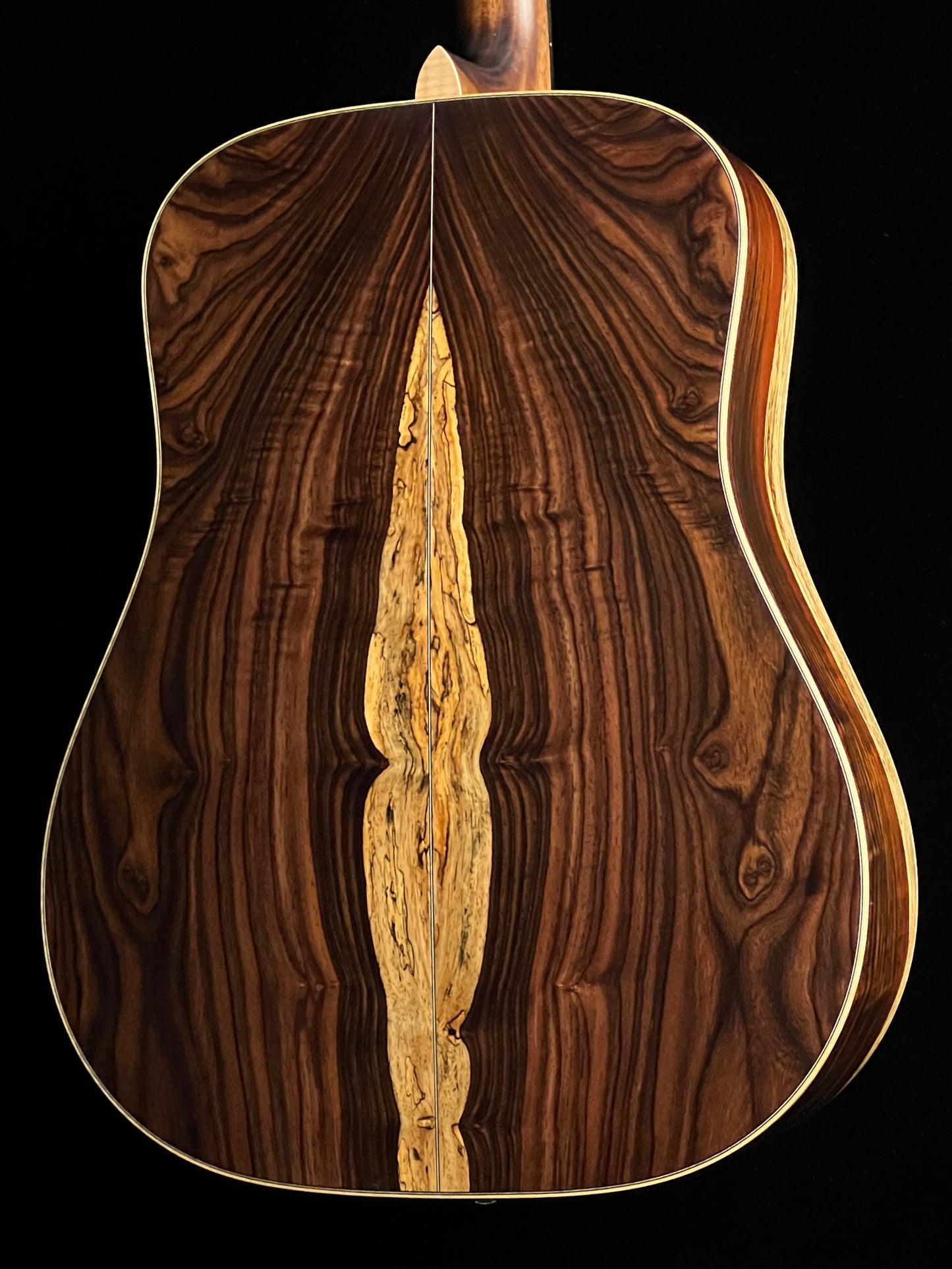 Takamine 200 Series Custom SG-CPD-AC1 Acoustic Guitar with Pickup Adirondack Spruce/Cocobolo - Used