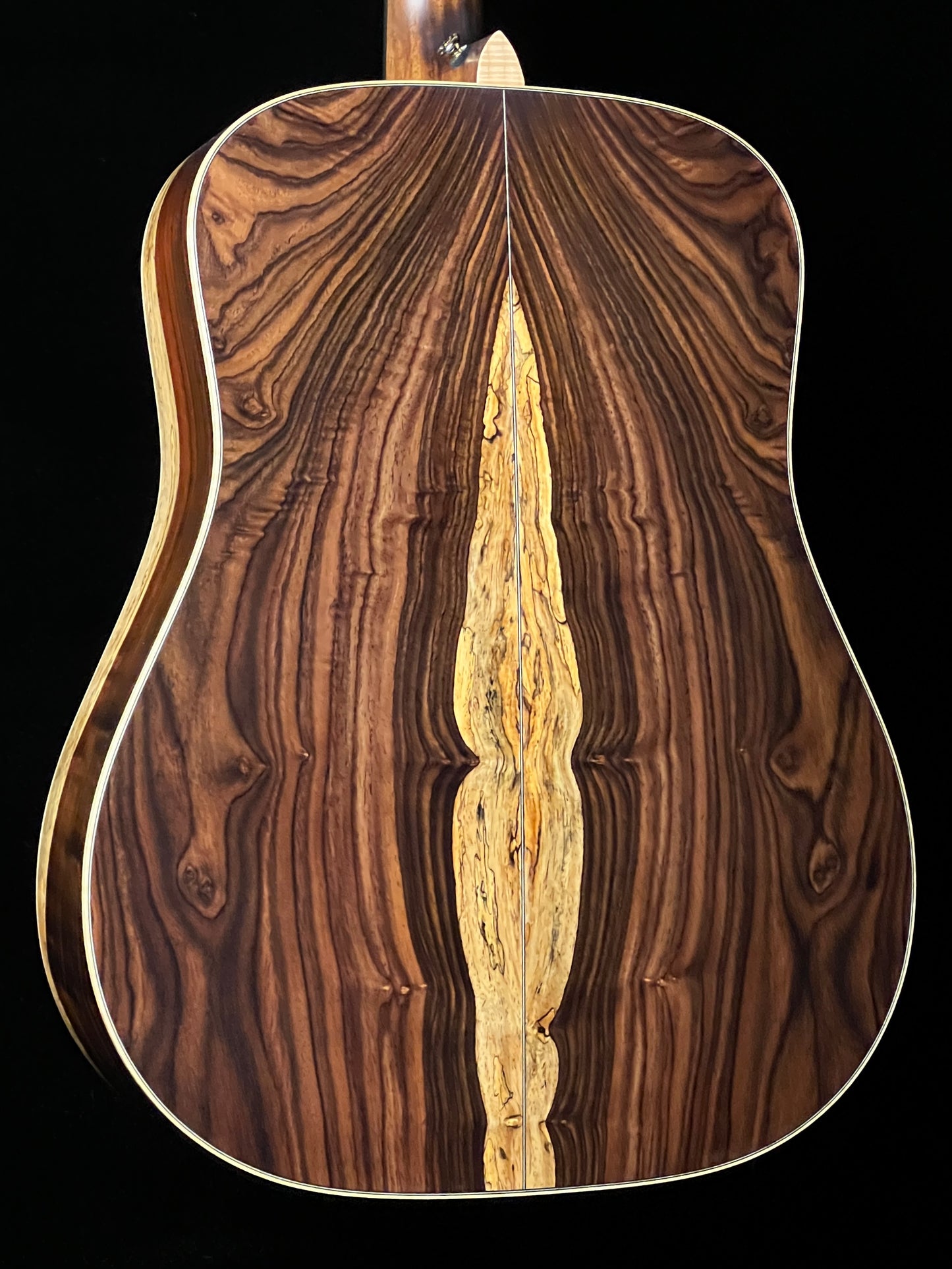Takamine 200 Series Custom SG-CPD-AC1 Acoustic Guitar with Pickup Adirondack Spruce/Cocobolo - Used