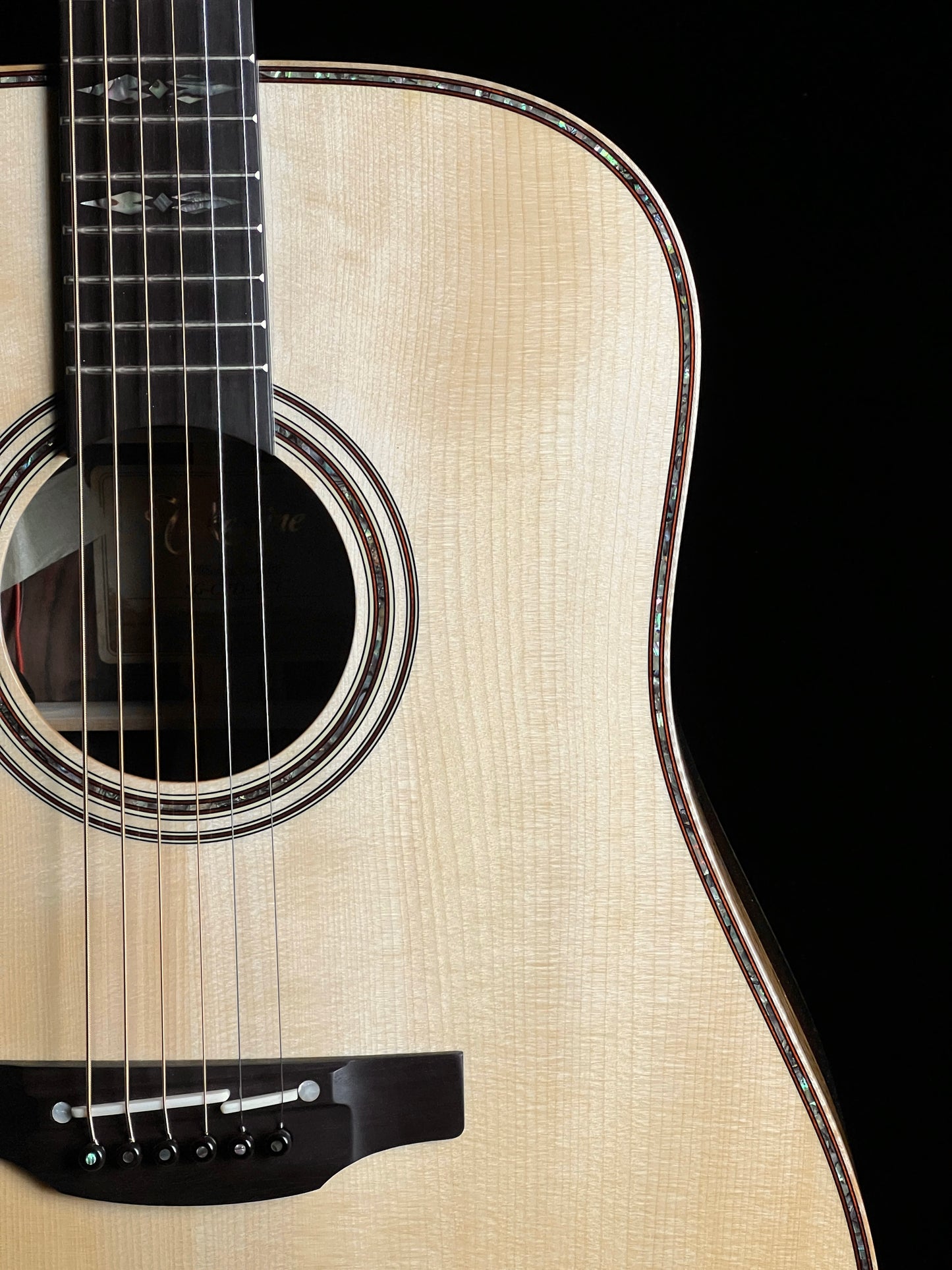Takamine 200 Series Custom SG-CPD-AC1 Acoustic Guitar with Pickup Adirondack Spruce/Cocobolo - Used