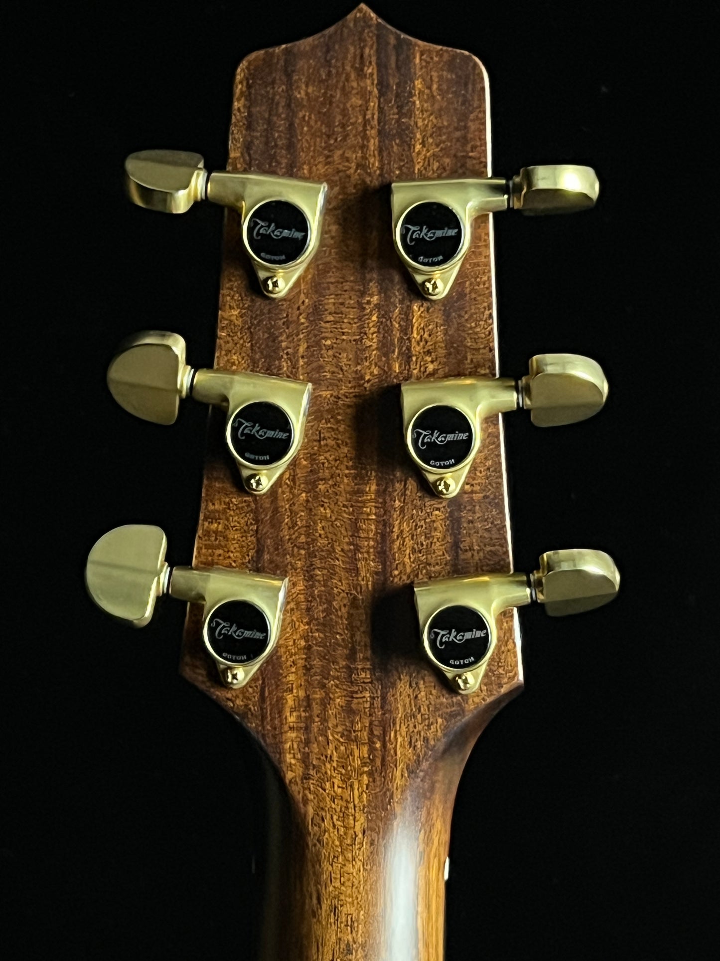 Takamine 200 Series Custom SG-CPD-AC1 Acoustic Guitar with Pickup Adirondack Spruce/Cocobolo - Used