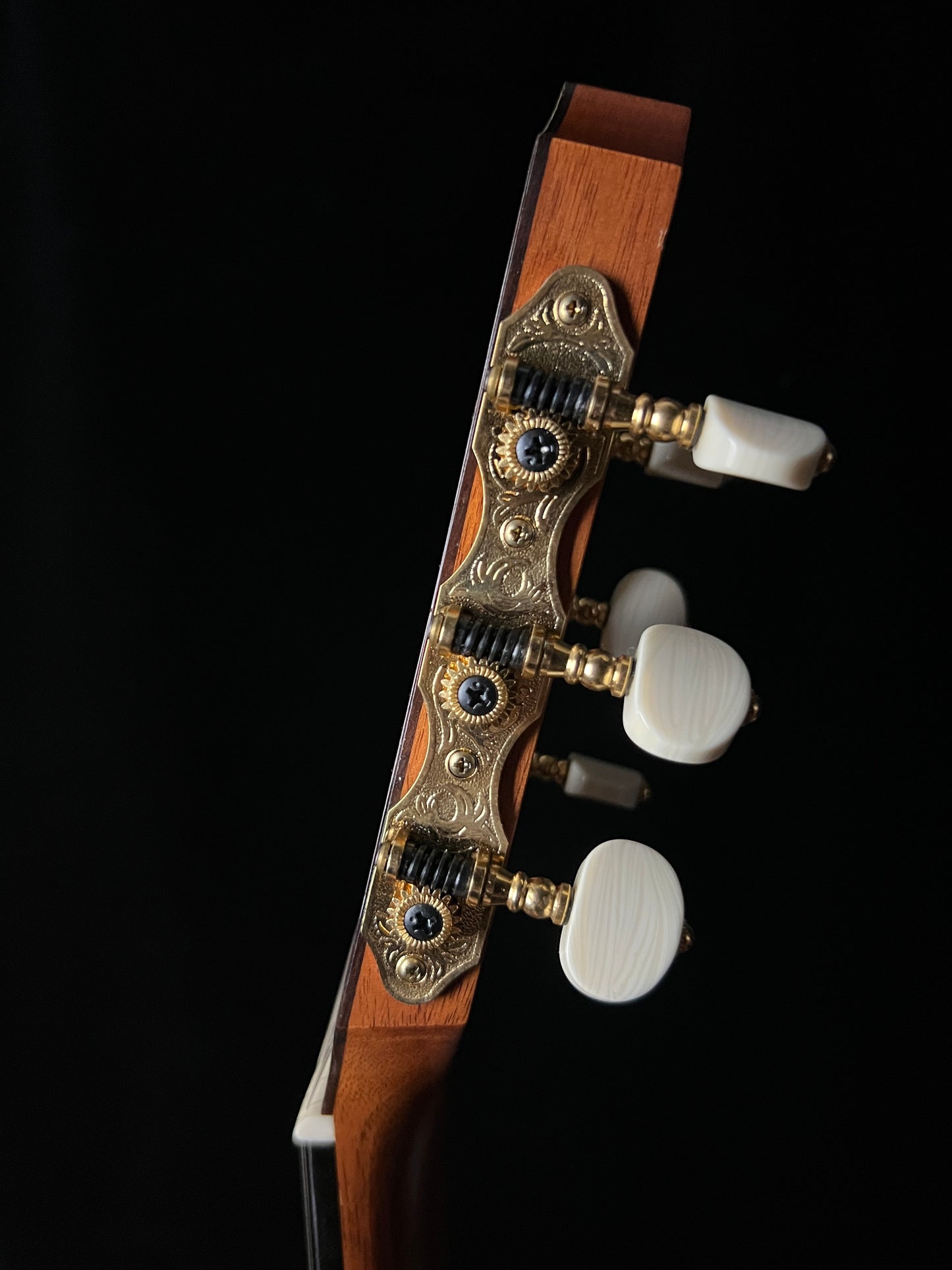 Taylor JMSM Jason Mraz Signature Model "Be Love" Cedar/Rosewood Nylon Guitar - Consignment