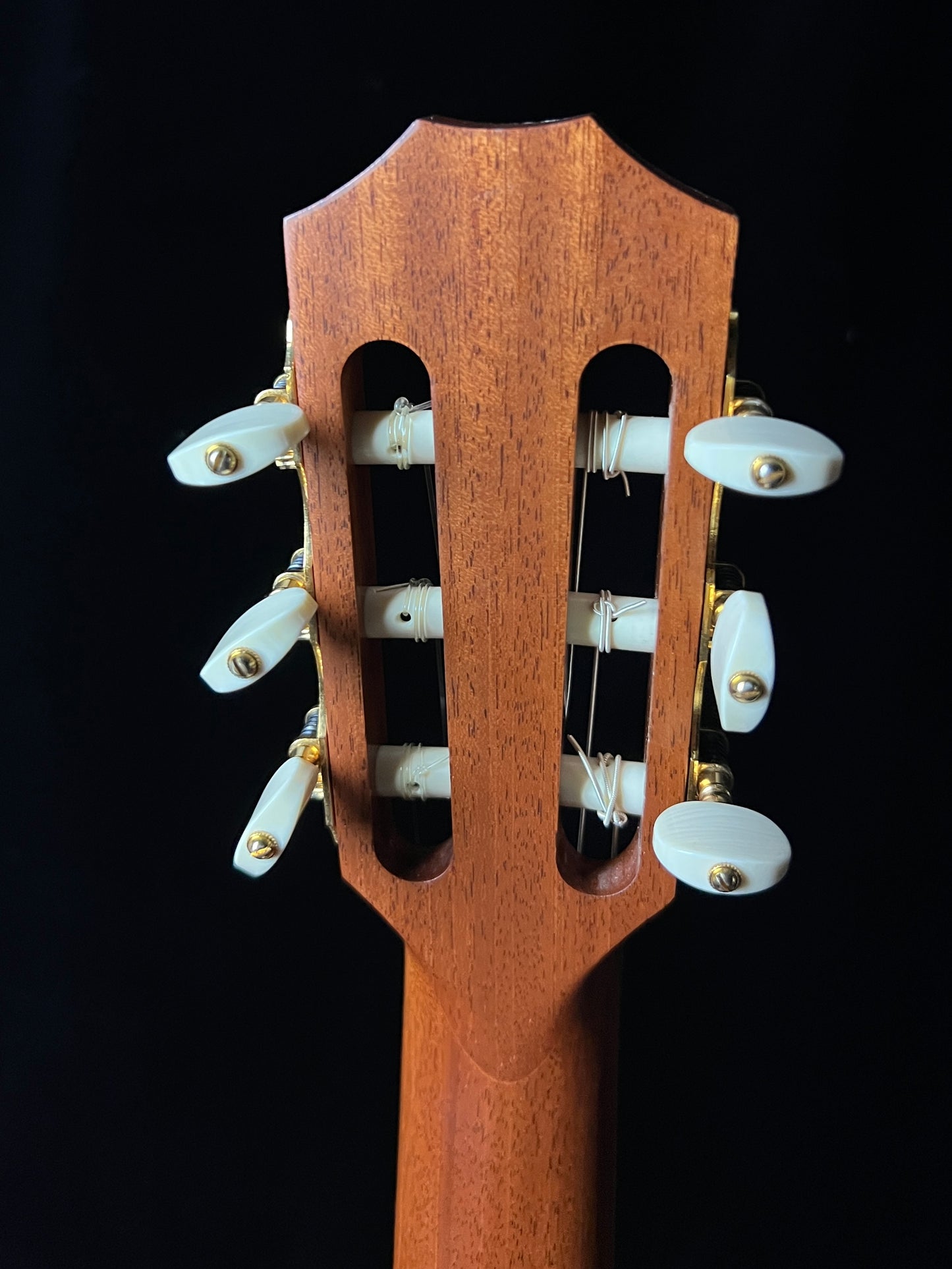 Taylor JMSM Jason Mraz Signature Model "Be Love" Cedar/Rosewood Nylon Guitar - Consignment