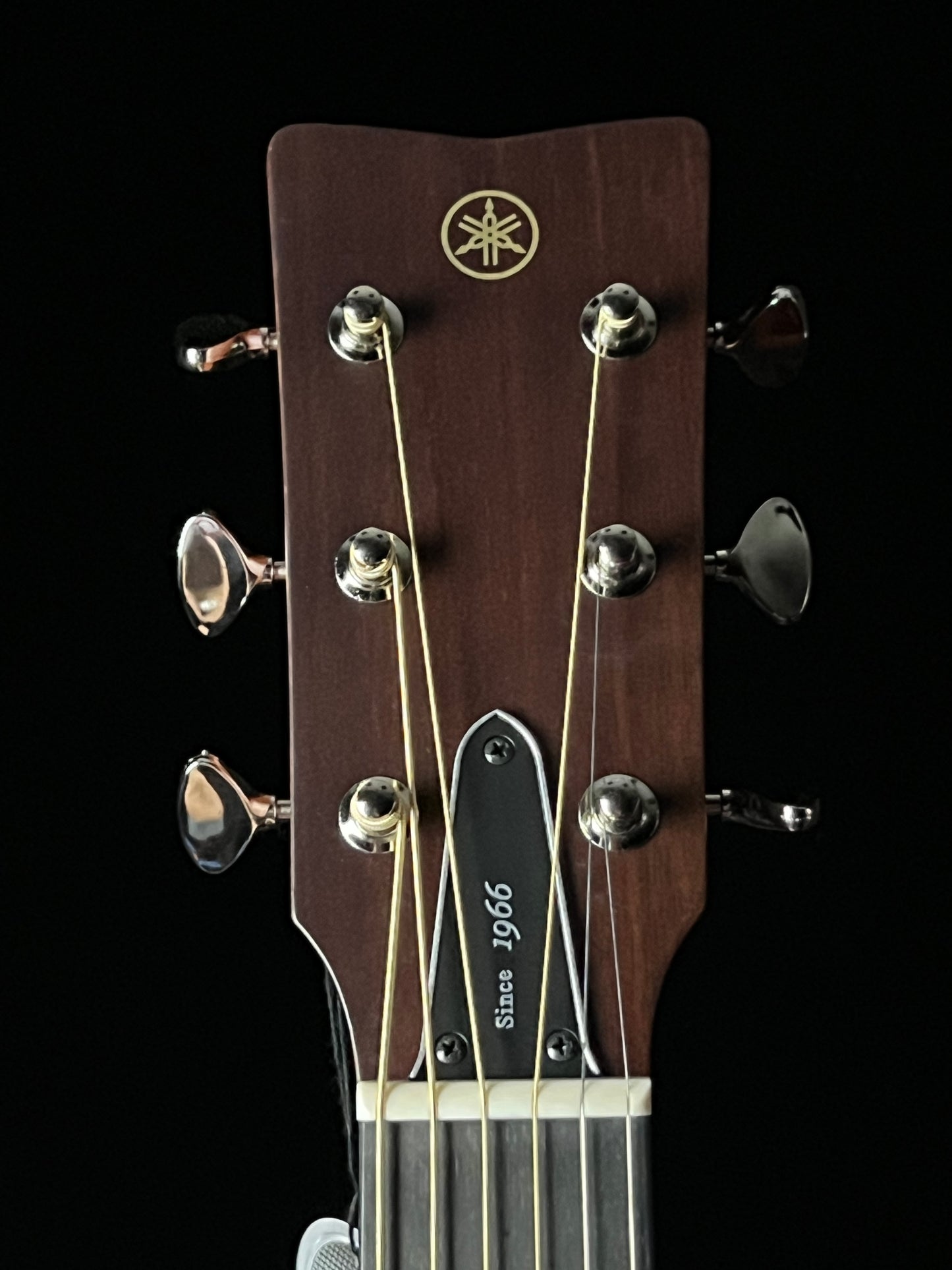 Yamaha FGX5 Red Label Gloss Sitka Spruce / Mahogany Acoustic Guitar with Atmosfeel Pickup - New