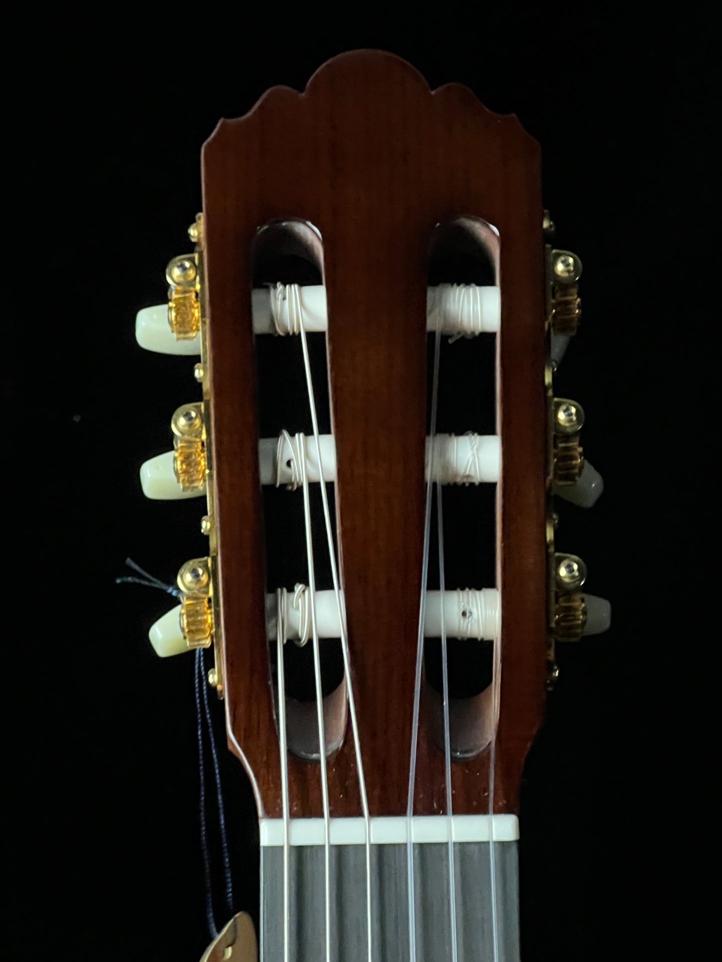 Yamaha GC12C Classical Western Red Cedar / Mahogany Acoustic Guitar - New