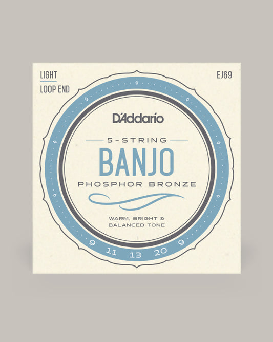 D'Addario Banjo Phosphor Bronze 09-20 EJ69