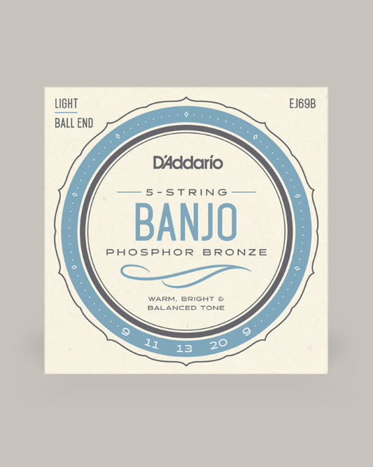 D'Addario Banjo Phosphor Bronze 09-20 EJ69B
