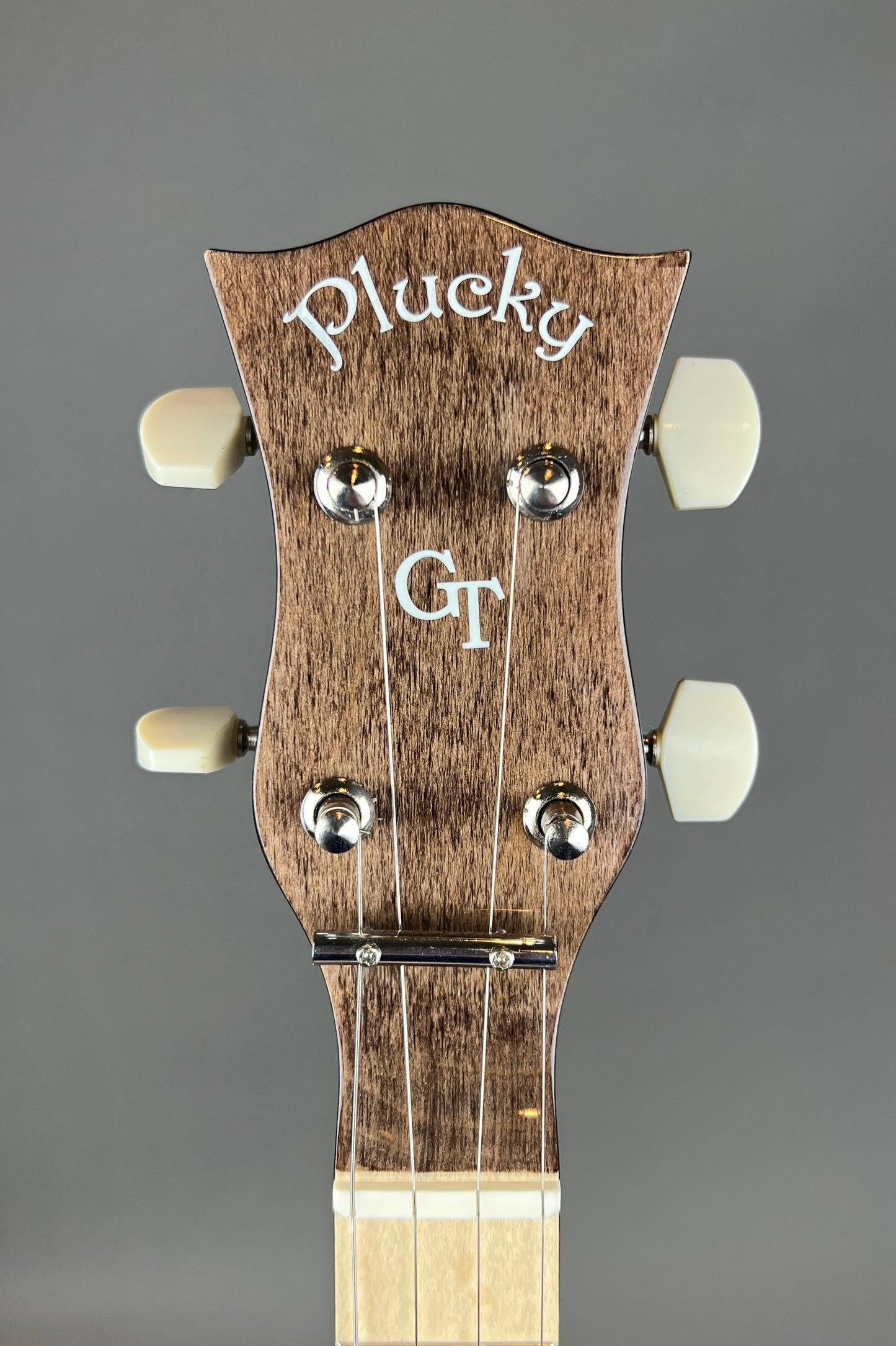 SOLD - Gold Tone Plucky Taveler Banjo