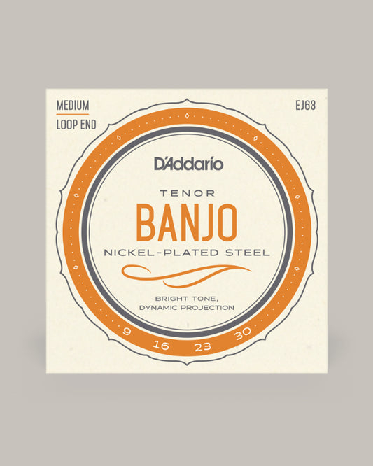 D'Addario Tenor Banjo Nickel Plated Steel 09-30 EJ63