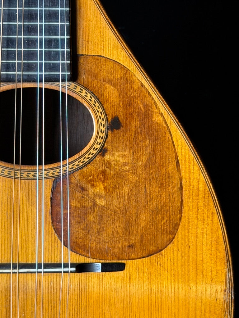 1921 Martin Style B Mandolin Spruce/Brazilian Rosewood  - Used