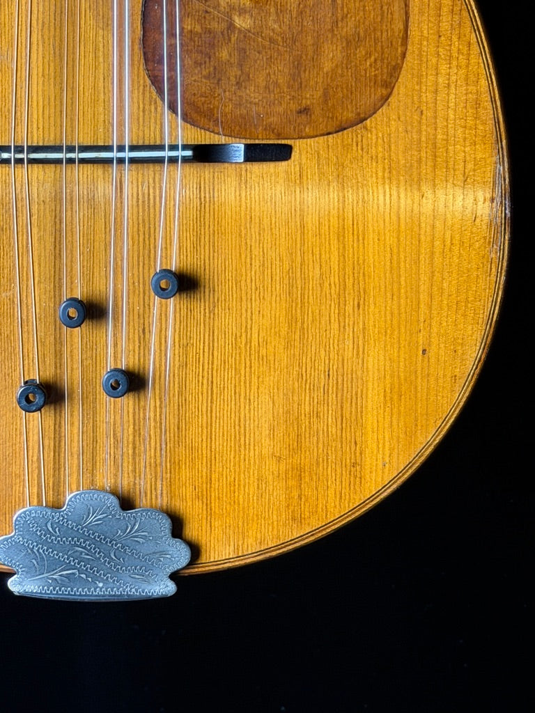 1921 Martin Style B Mandolin Spruce/Brazilian Rosewood  - Used