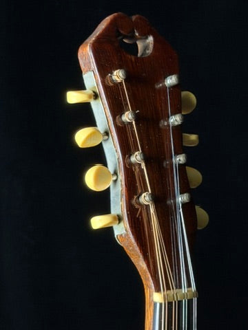 1921 Martin Style B Mandolin Spruce/Brazilian Rosewood  - Used