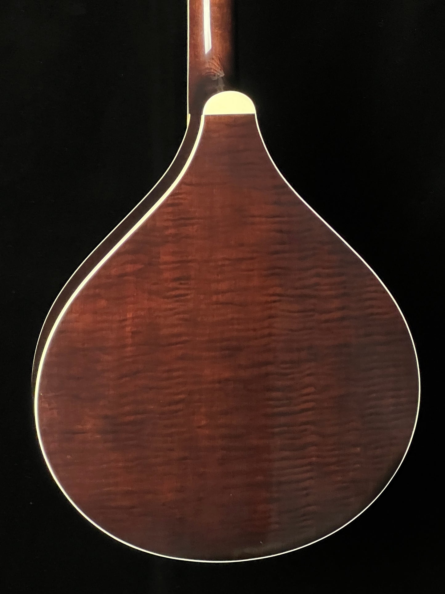 Banjola+ with Scoop Woodbody Banjo with Pickup - New