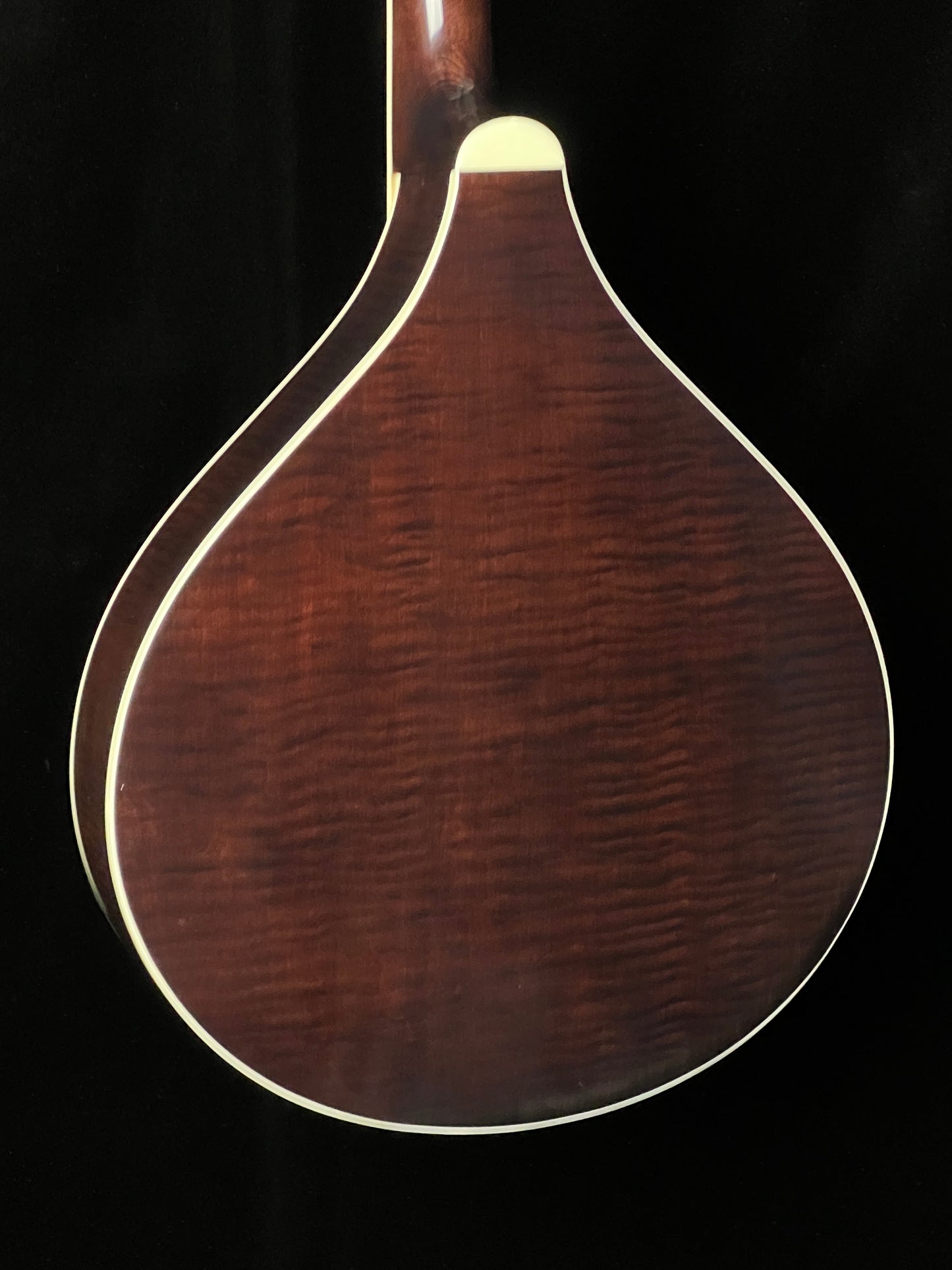 Banjola+ with Scoop Woodbody Banjo with Pickup - New