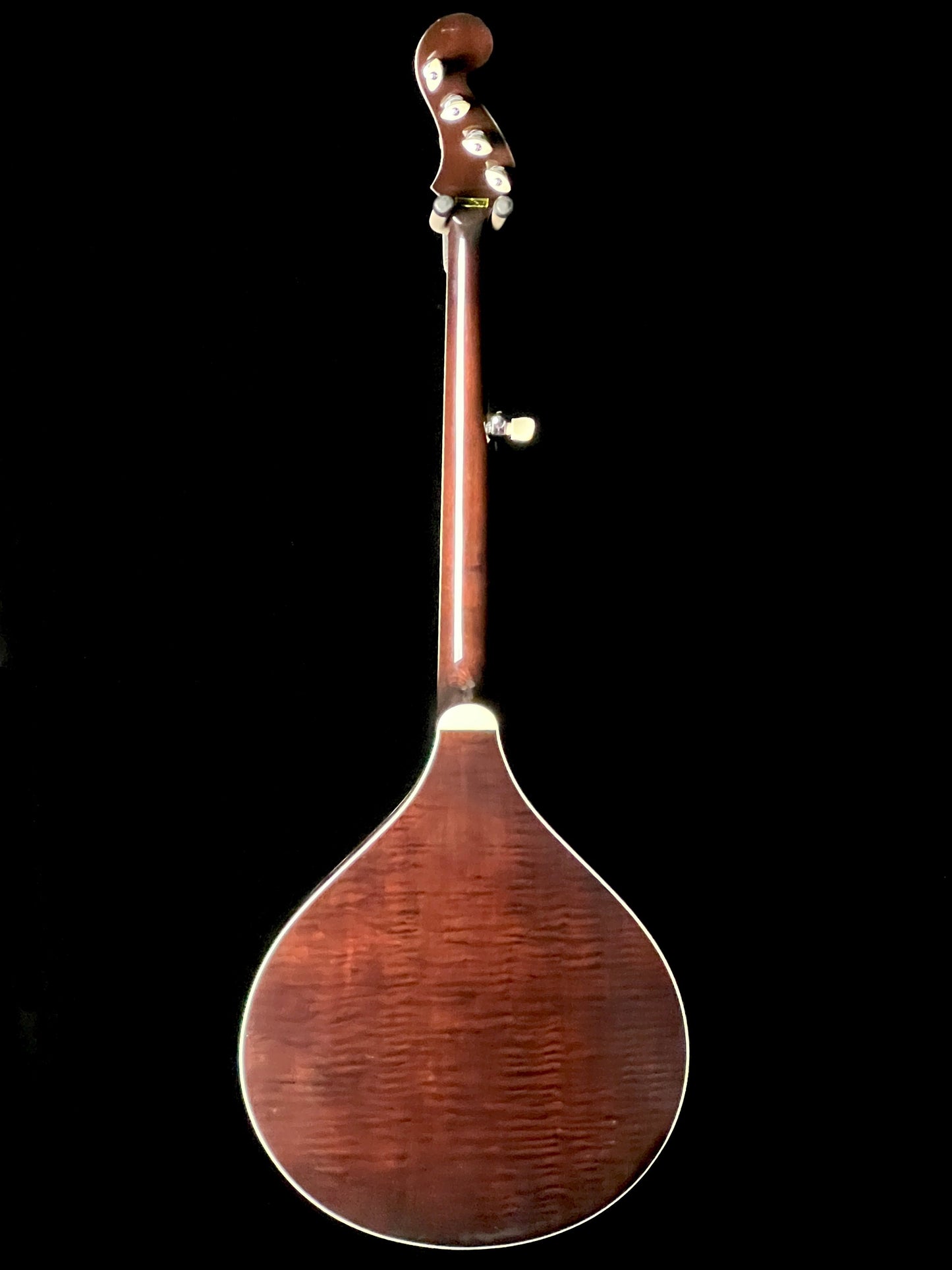 Banjola+ with Scoop Woodbody Banjo with Pickup - New