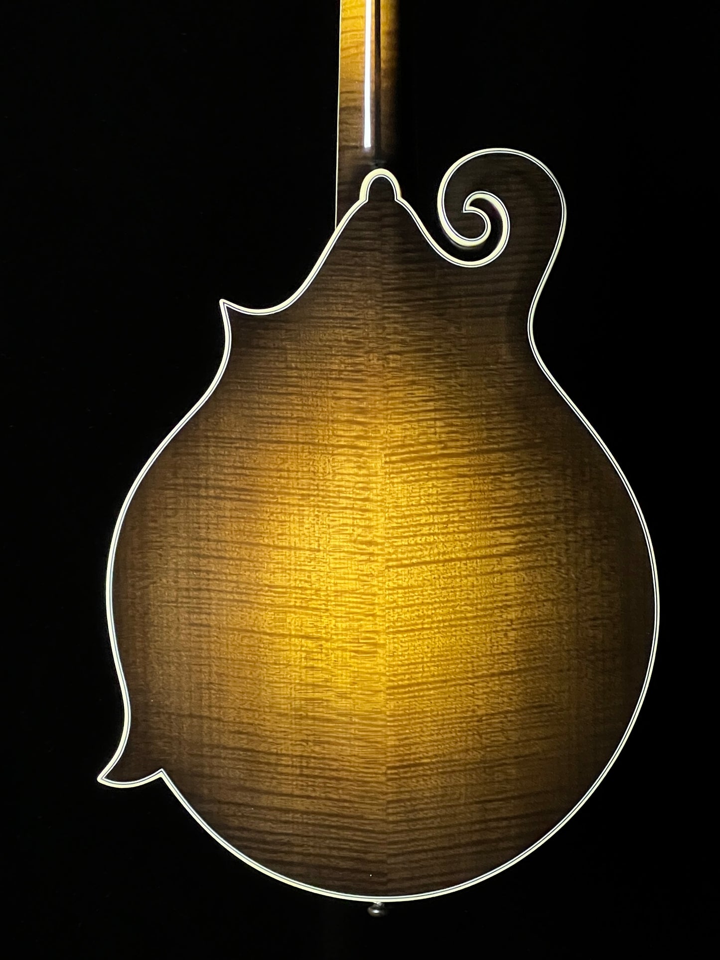 SOLD - Bourgeois M5-F-SB F-Style Mandolin Adirondack Spruce/European Maple - New