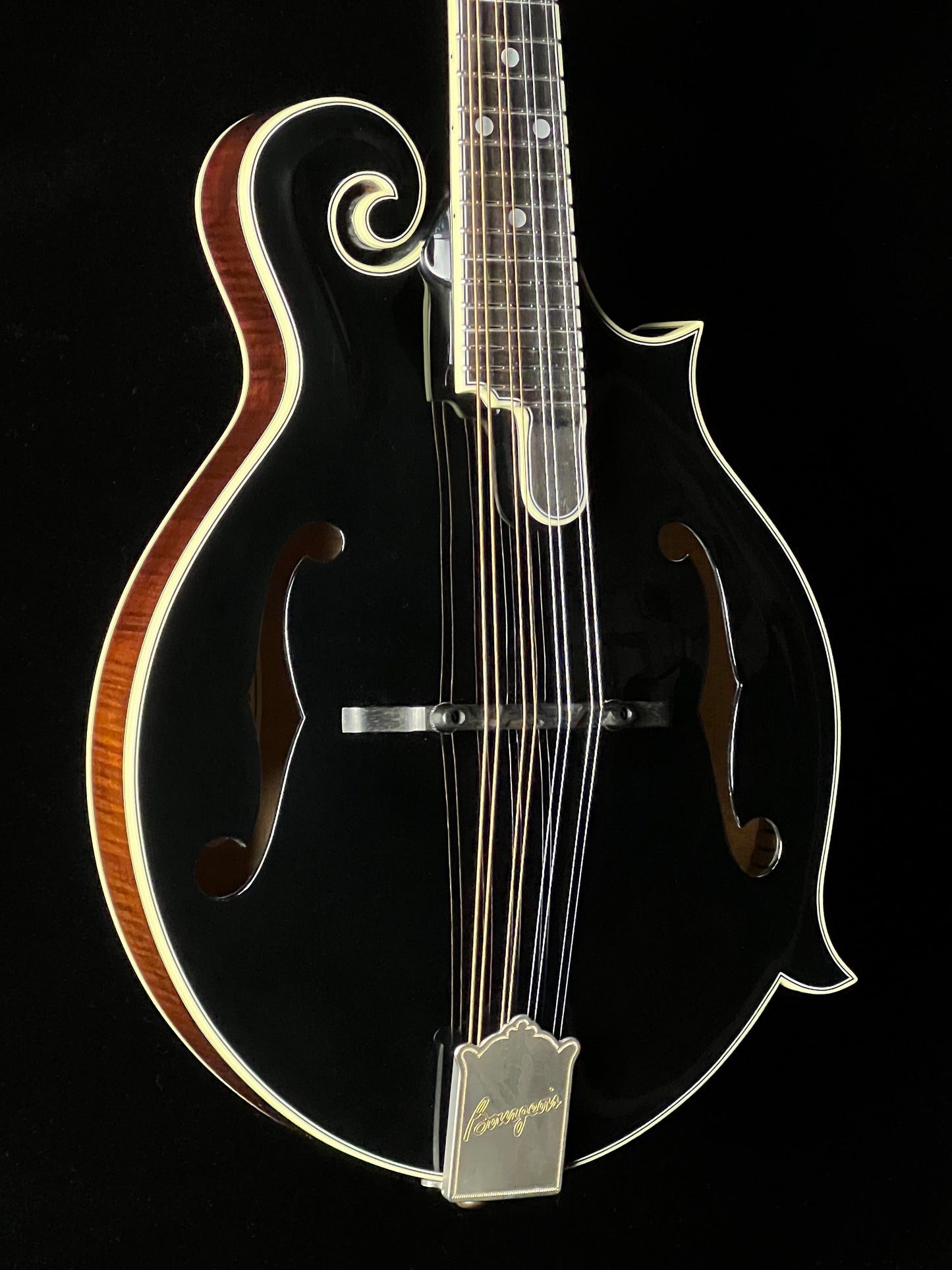 Bourgeois M5F Black-Top Adirondack / European Maple F-Style Mandolin - New