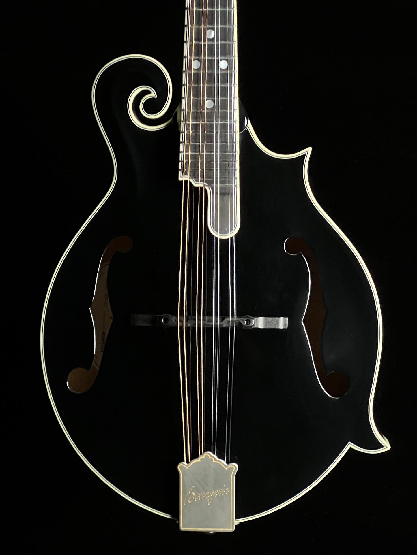Bourgeois M5F Black-Top Adirondack / European Maple F-Style Mandolin - New