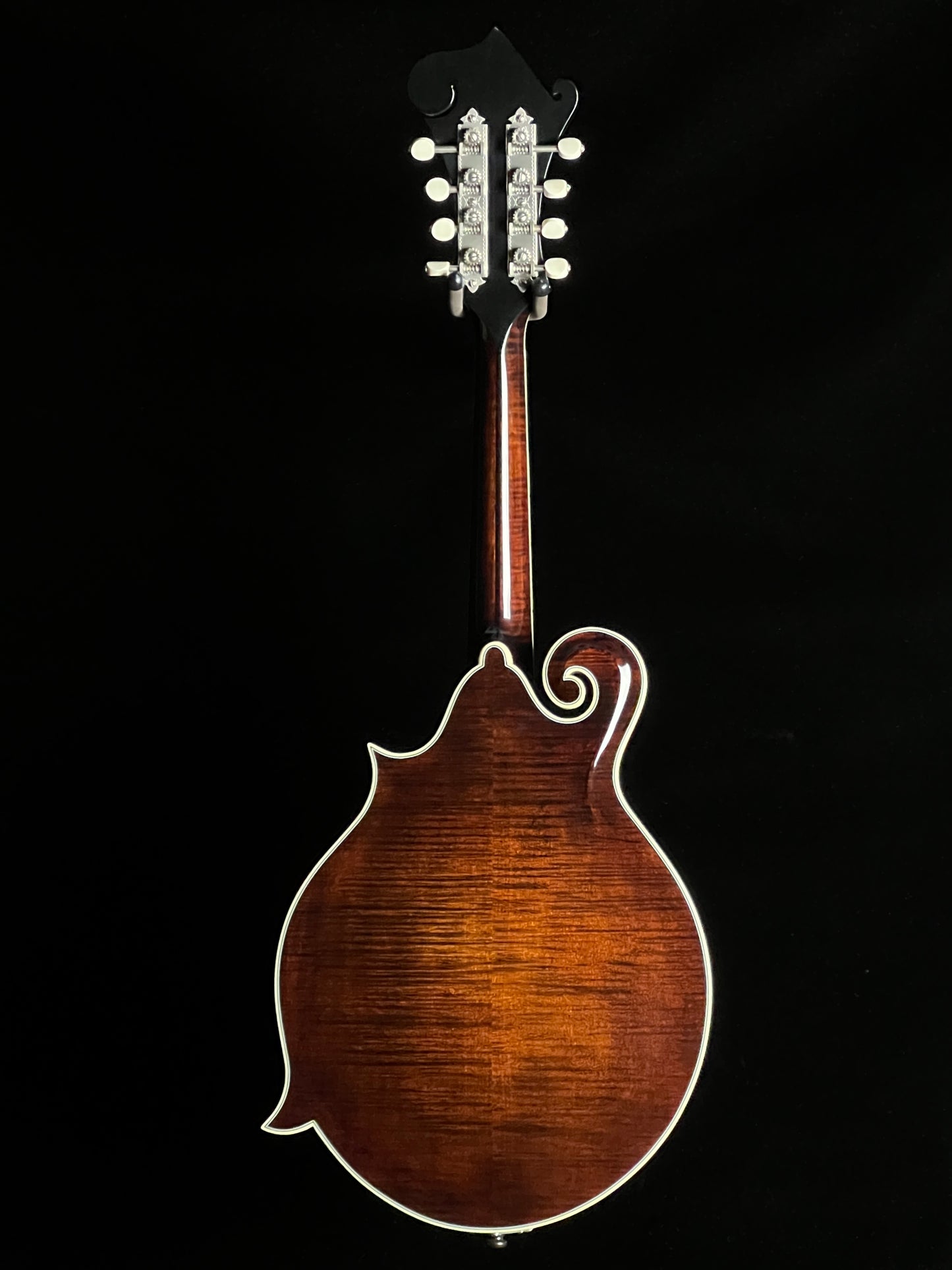 Bourgeois M5F Black-Top Adirondack / European Maple F-Style Mandolin - New