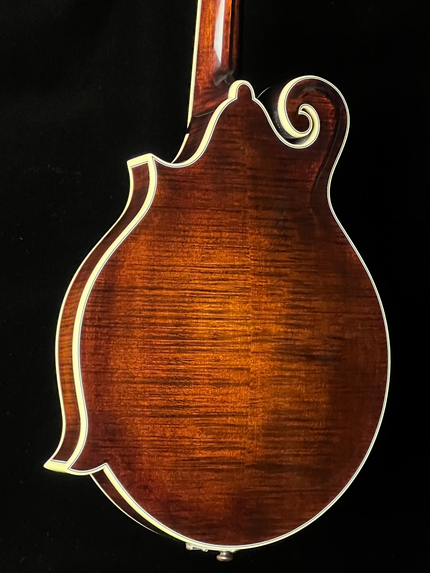 Bourgeois M5F Black-Top Adirondack / European Maple F-Style Mandolin - New