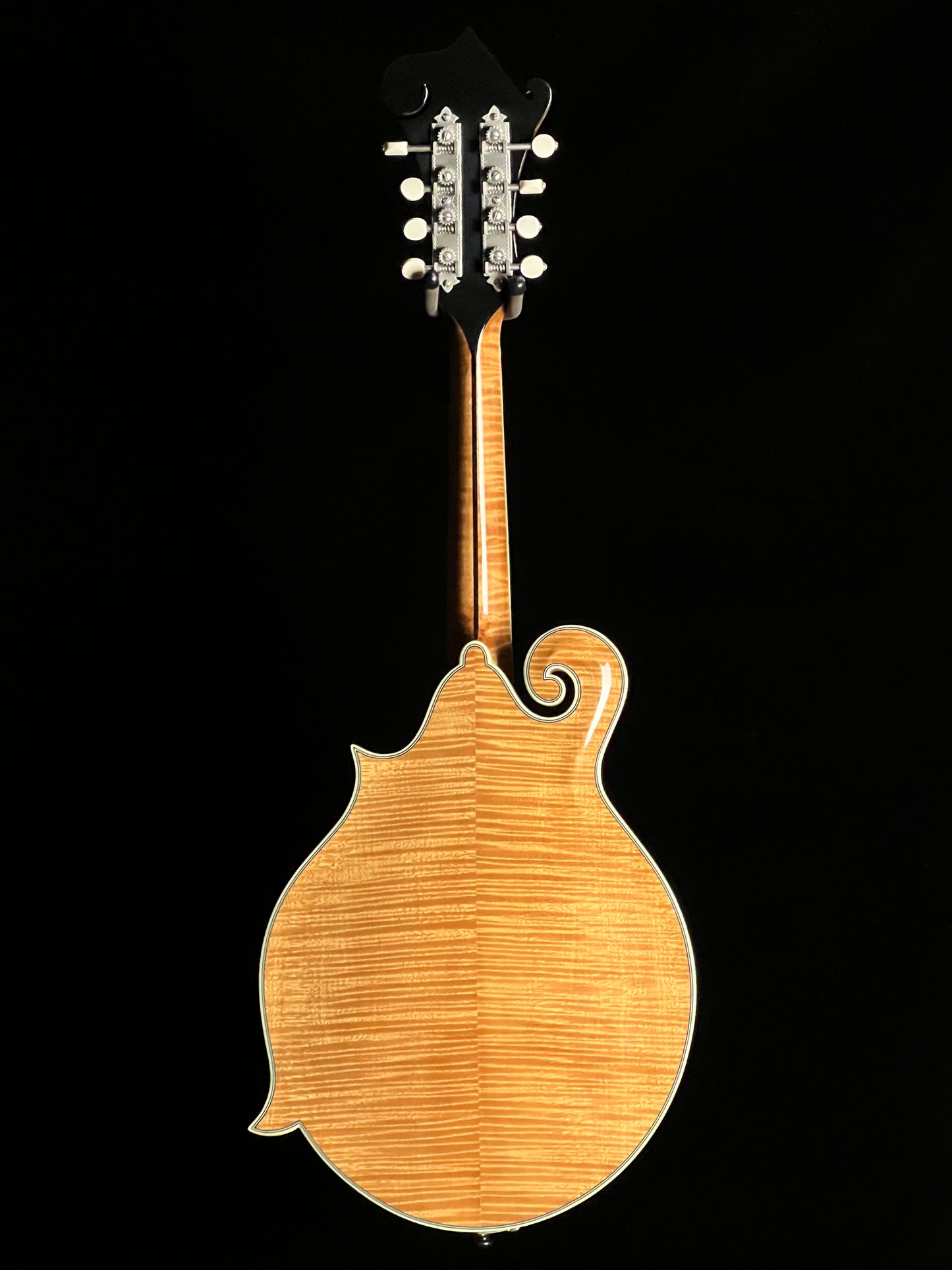 Bourgeois M5F Torrefied Adirondack Spruce / European Maple F-Style Mandolin - New