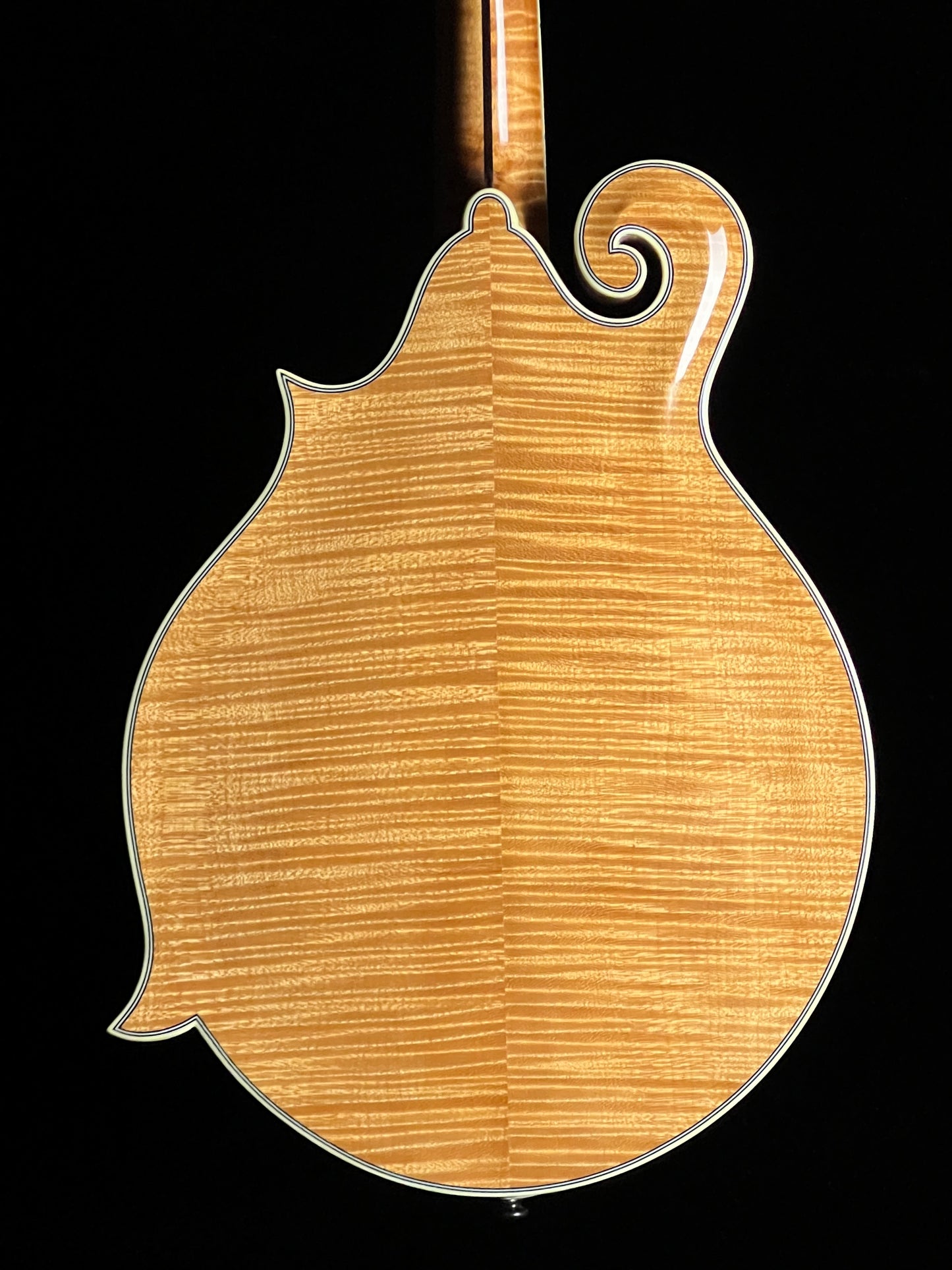 Bourgeois M5F Torrefied Adirondack Spruce / European Maple F-Style Mandolin - New