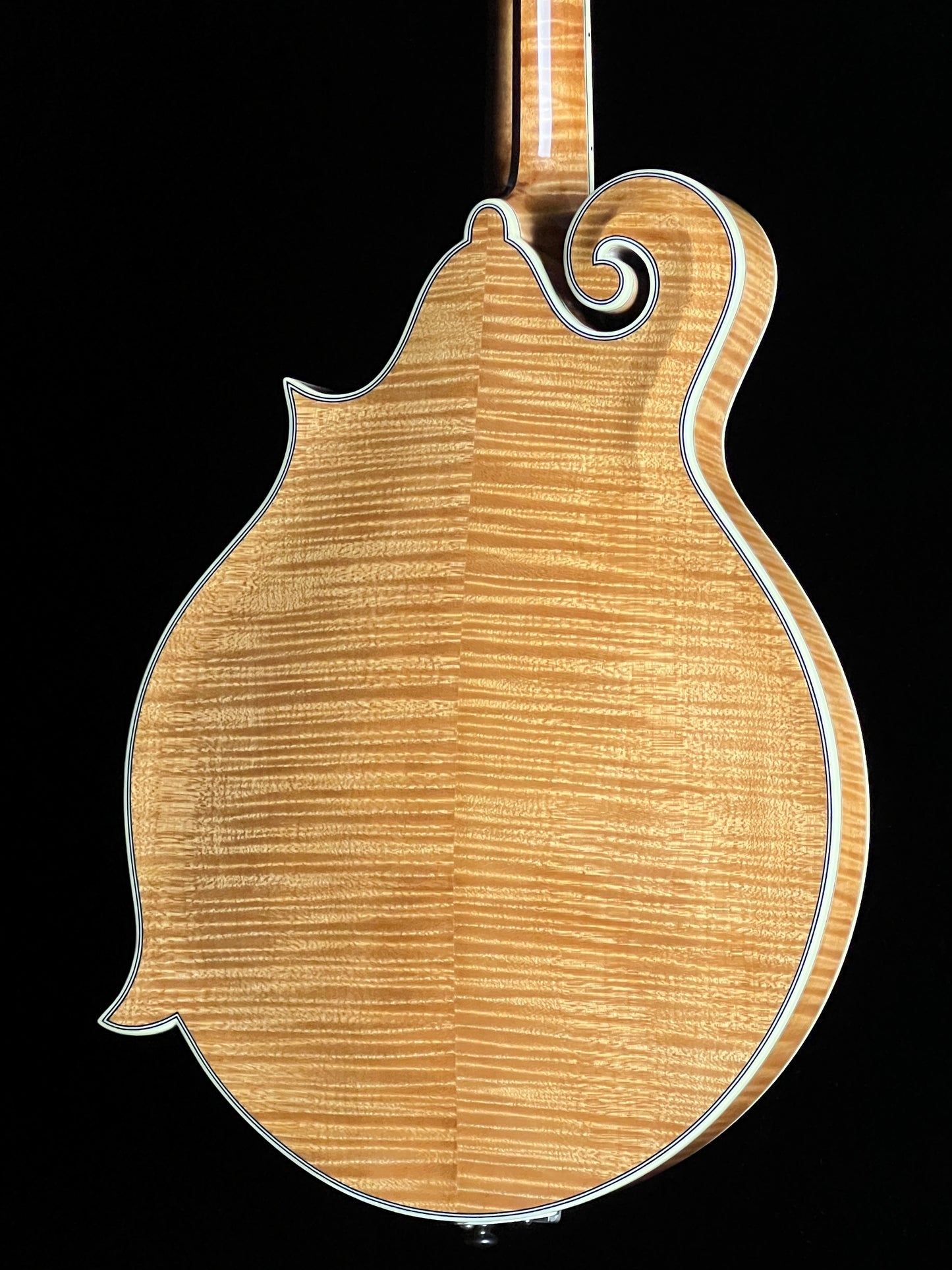 Bourgeois M5F Torrefied Adirondack Spruce / European Maple F-Style Mandolin - New