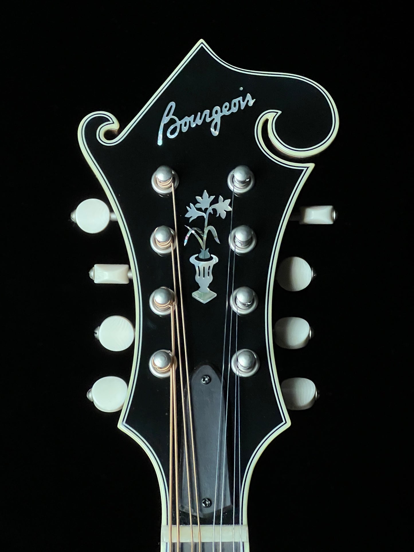 Bourgeois M5F Torrefied Adirondack Spruce / European Maple F-Style Mandolin - New