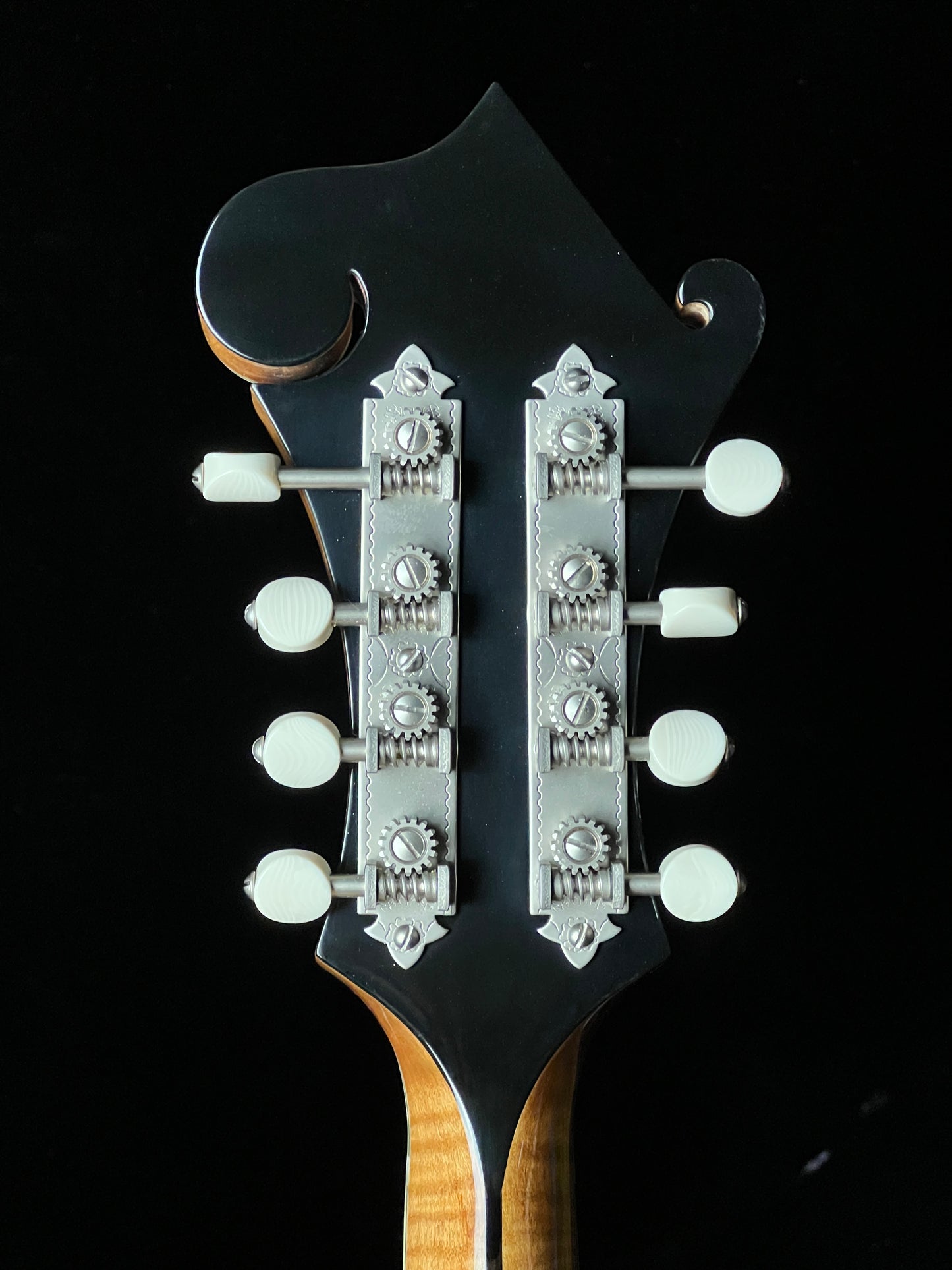 Bourgeois M5F Torrefied Adirondack Spruce / European Maple F-Style Mandolin - New