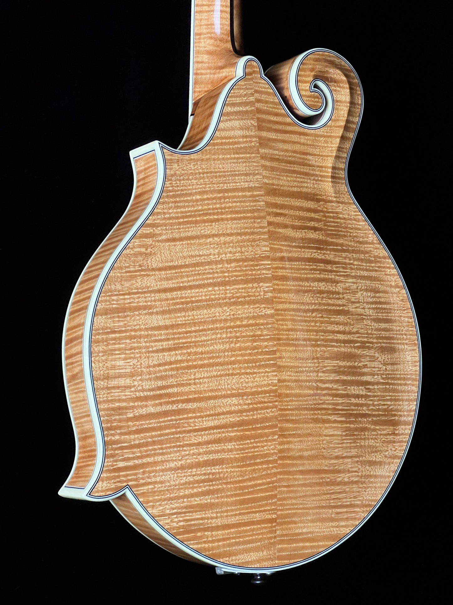 Bourgeois M5F Torrefied Adirondack Spruce / European Maple F-Style Mandolin - New
