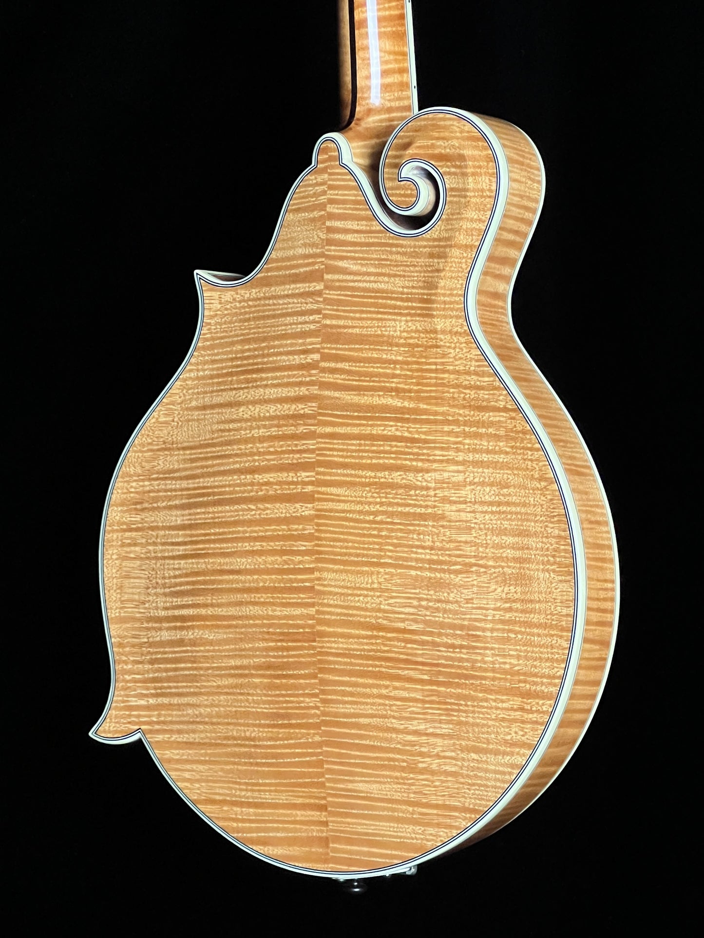 Bourgeois M5F Torrefied Adirondack Spruce / European Maple F-Style Mandolin - Used