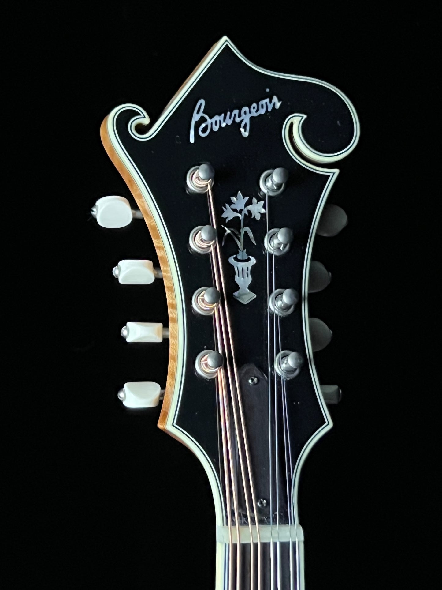 Bourgeois M5F Torrefied Adirondack Spruce / European Maple F-Style Mandolin - Used
