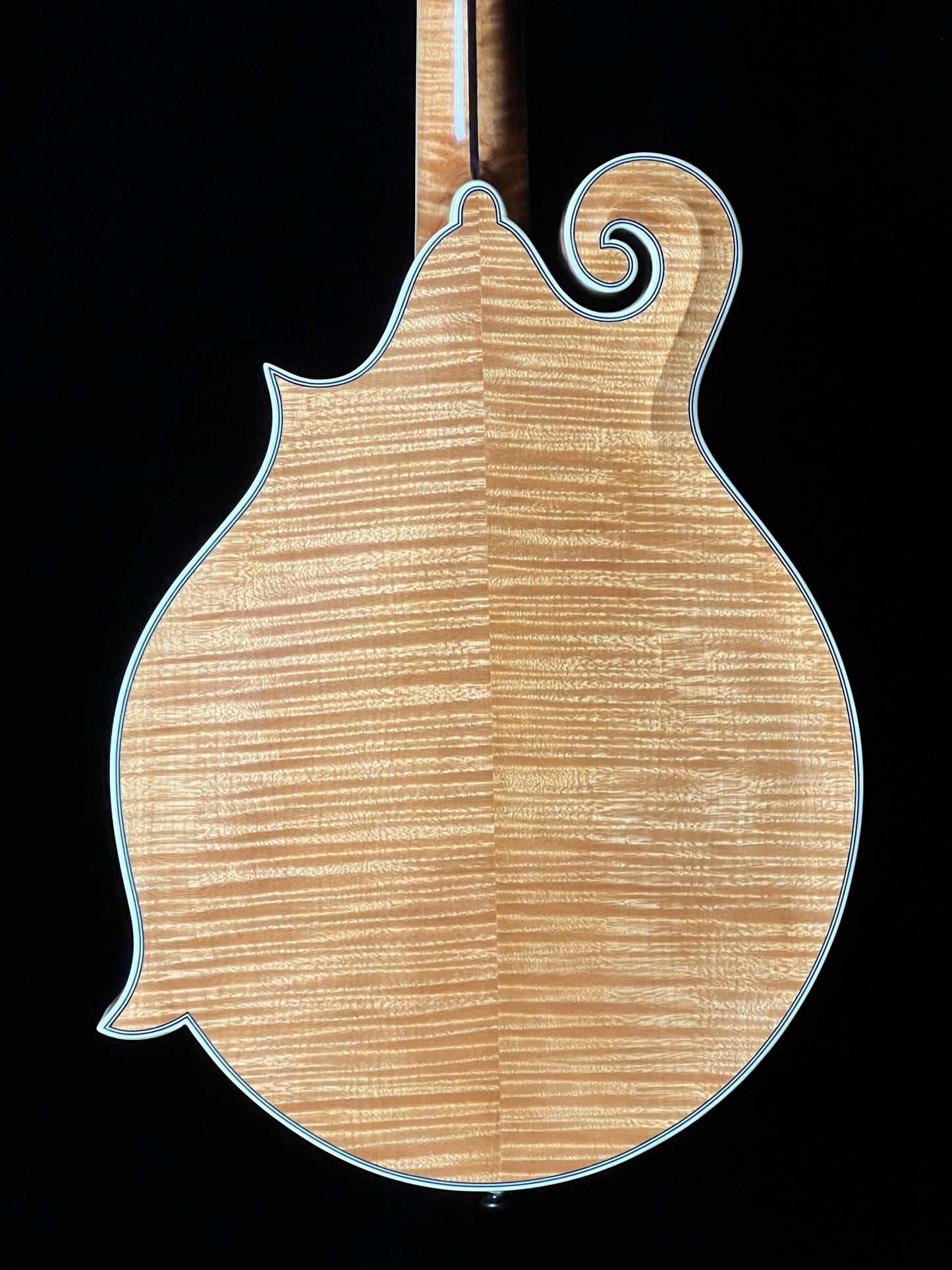 Bourgeois M5F Torrefied Adirondack Spruce / European Maple F-Style Mandolin - Used
