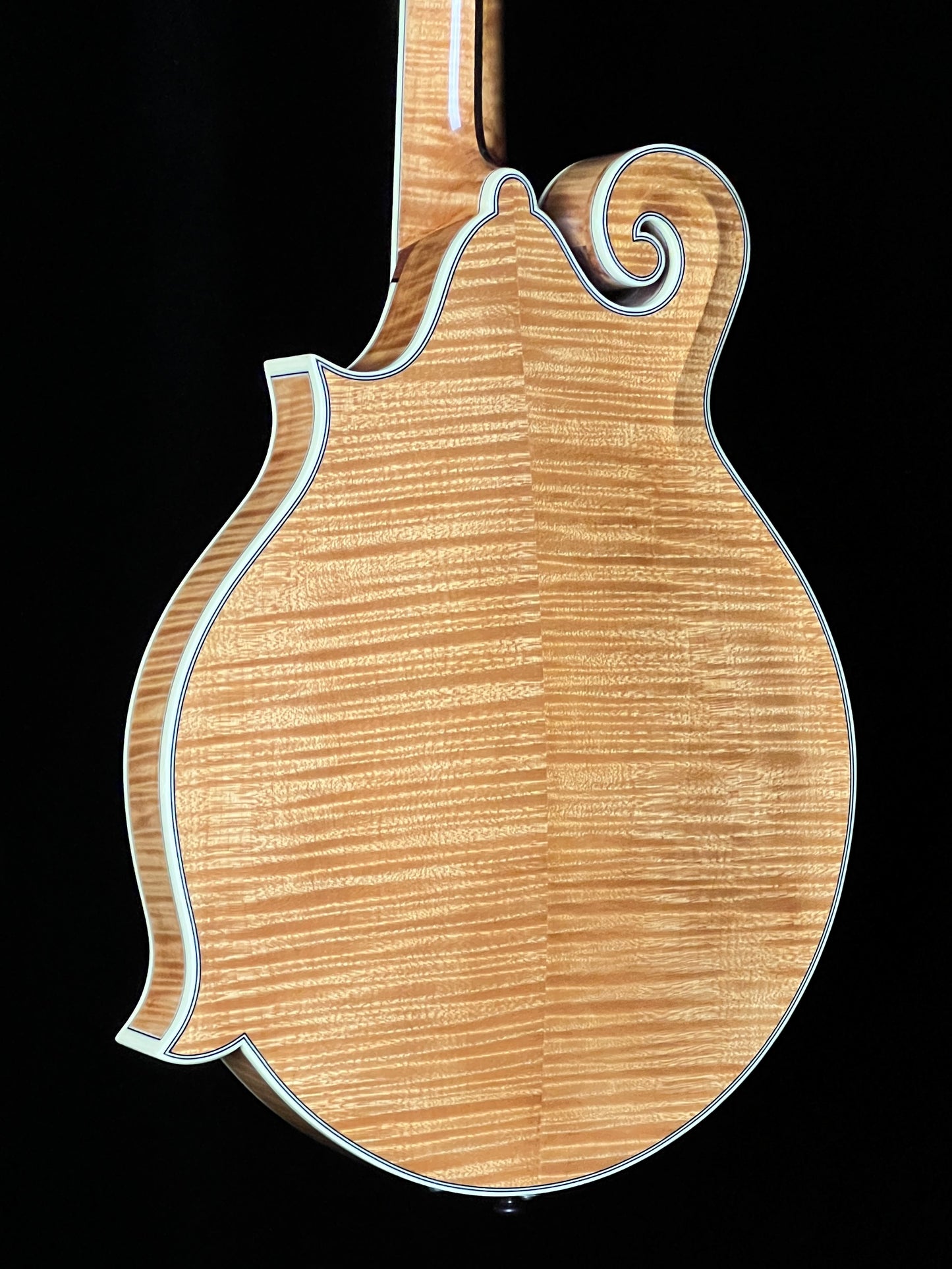 Bourgeois M5F Torrefied Adirondack Spruce / European Maple F-Style Mandolin - Used