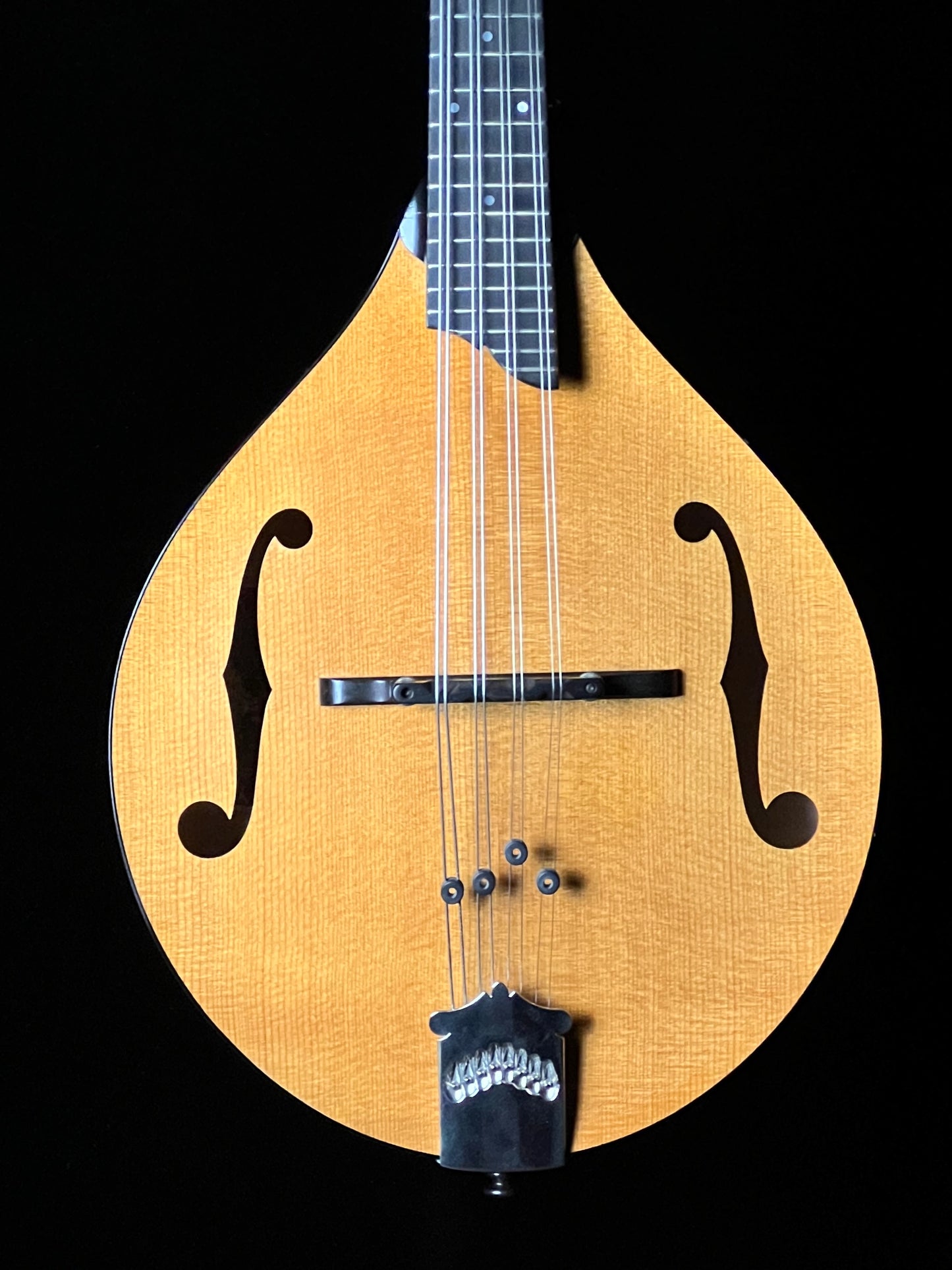 Collings MT Gloss Top A-Style Mandolin - Used