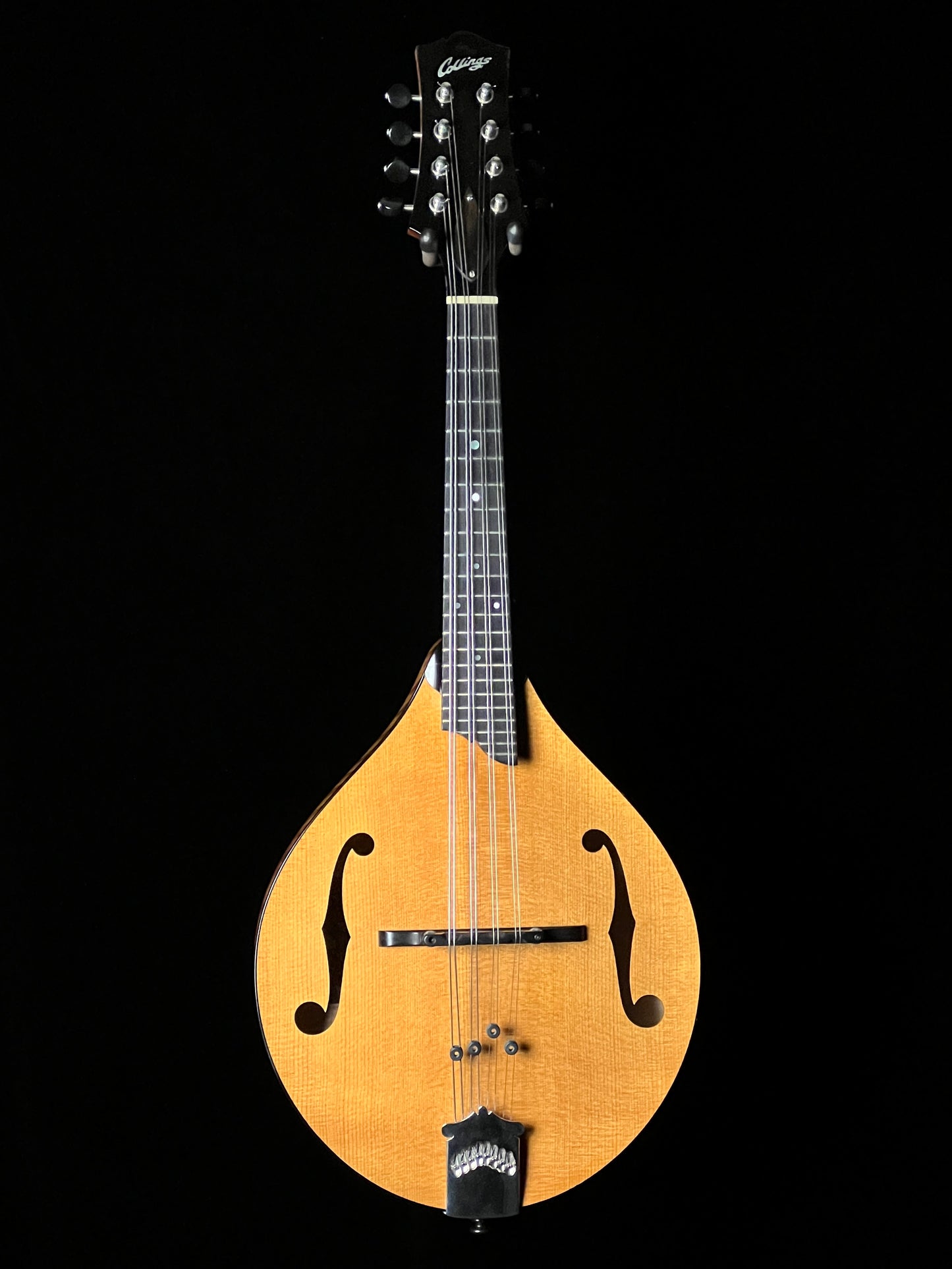 Collings MT Gloss Top A-Style Mandolin - Used