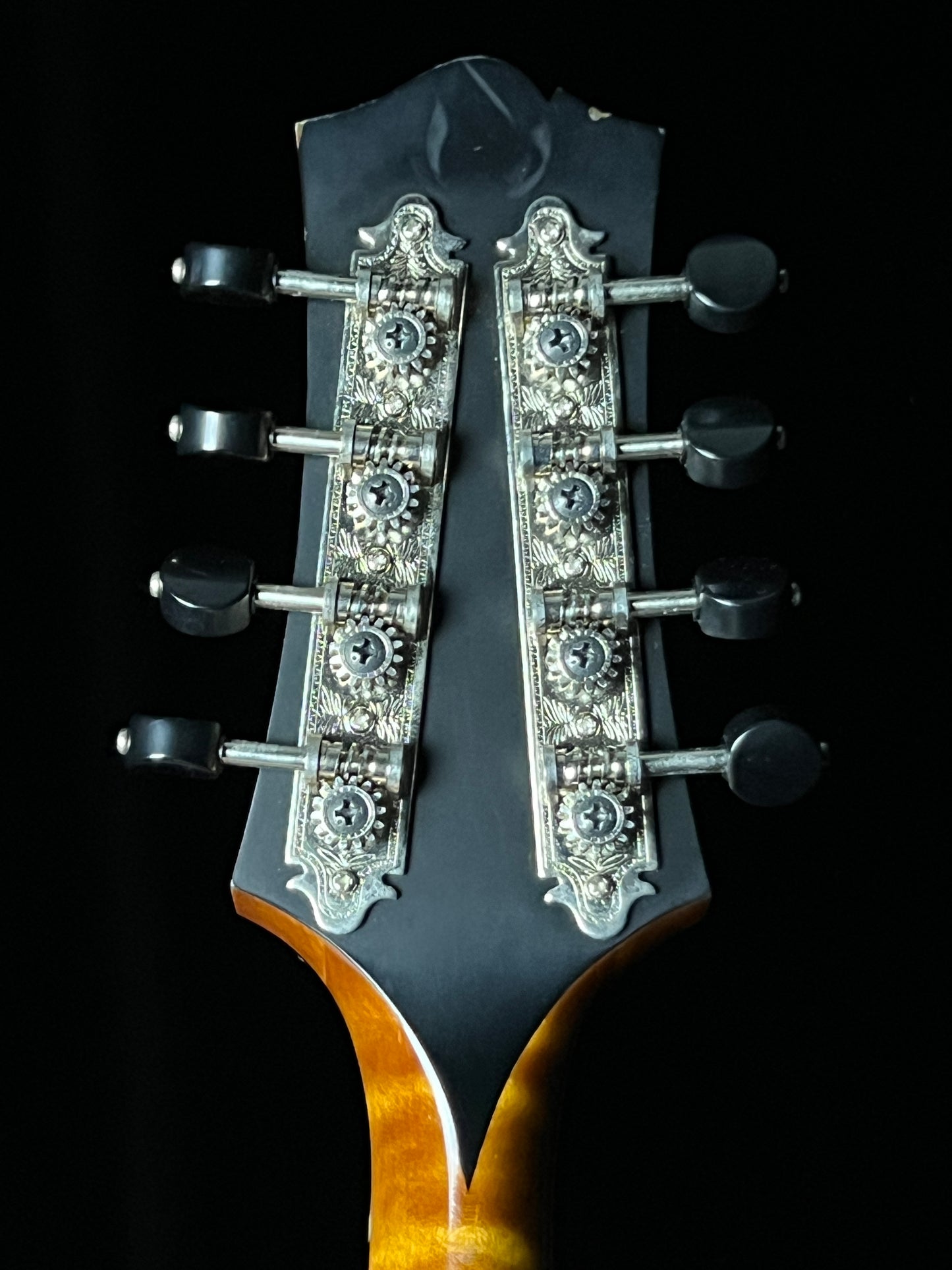 Collings MT Gloss Top A-Style Mandolin - Used