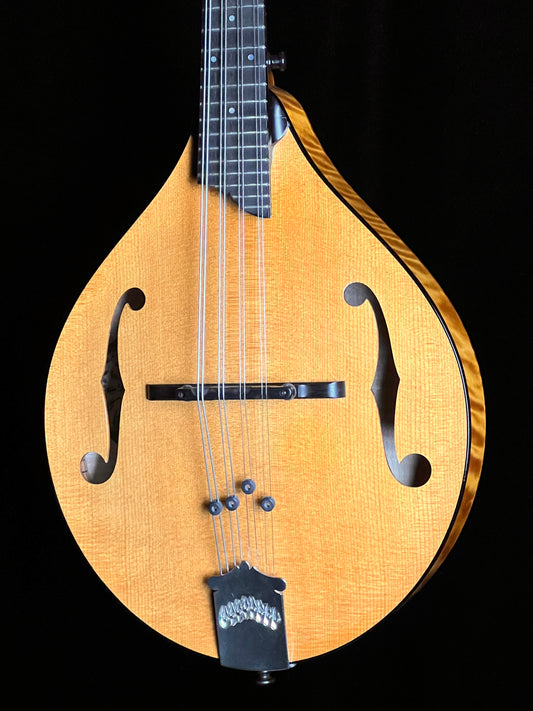 Collings MT Gloss Top A-Style Mandolin - Used