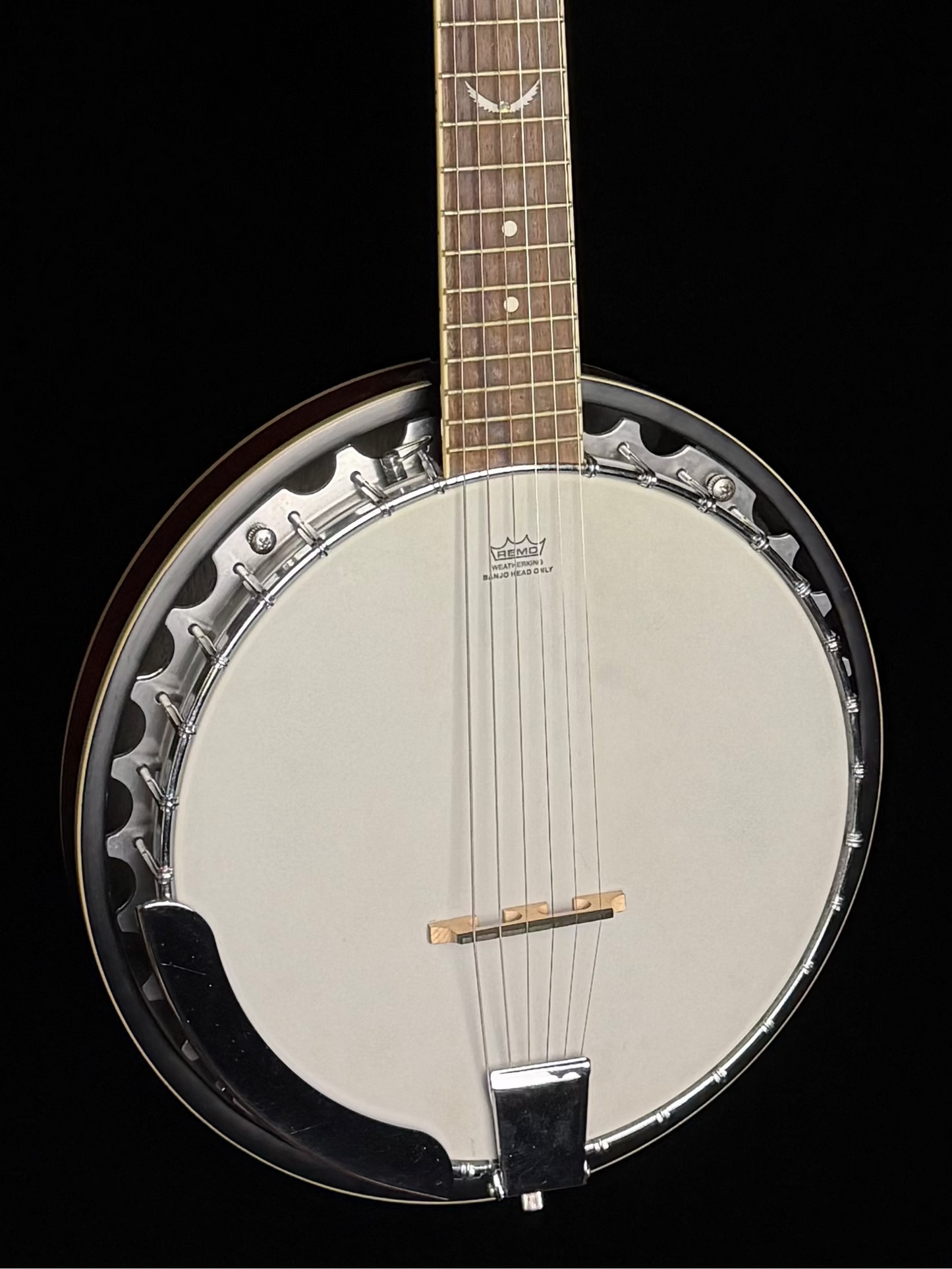 Dean 6-String Banjo - Used