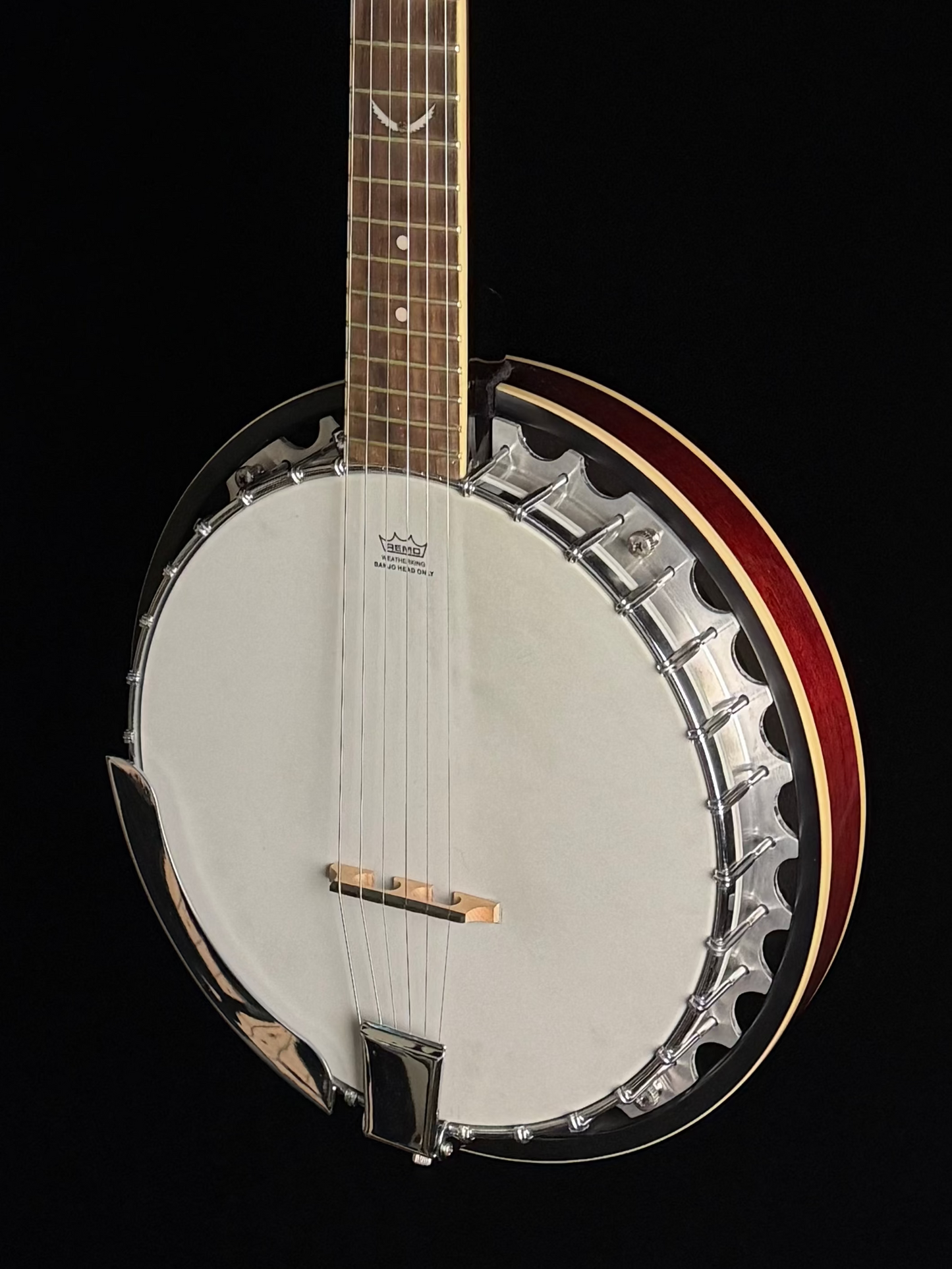Dean 6-String Banjo - Used