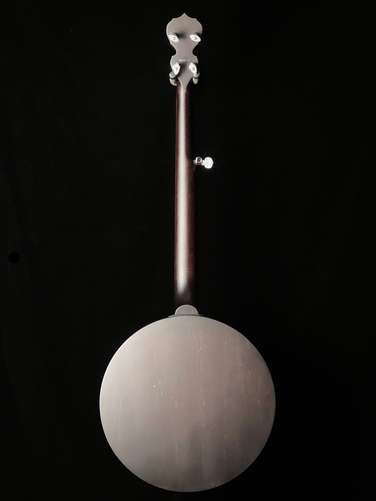 Deering Artisan Goodtime Special Banjo with Resonator - New