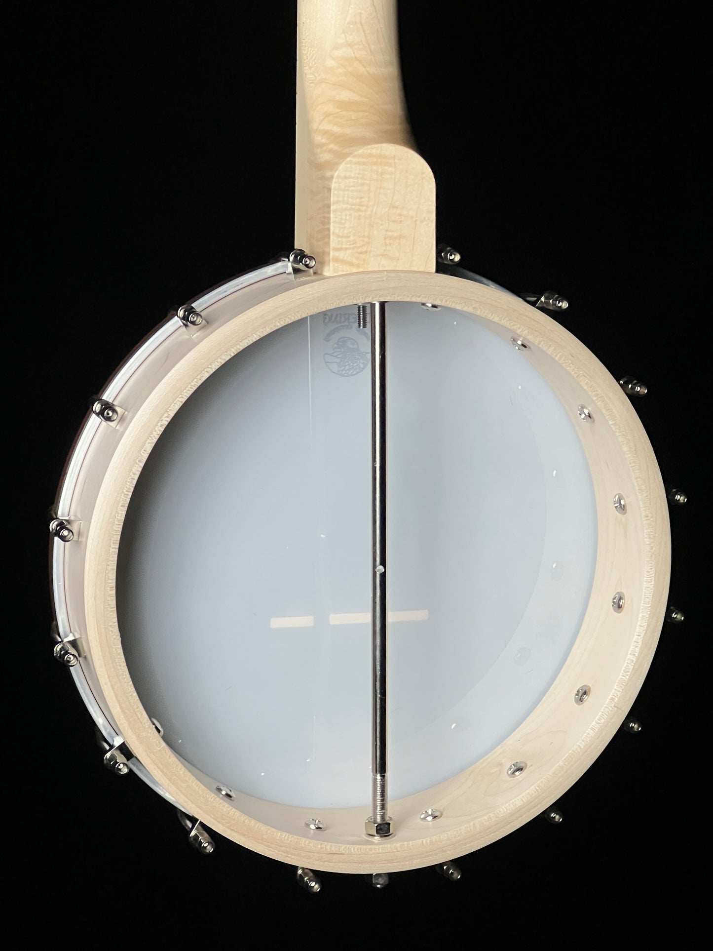 Deering Goodtime Openback Banjo Beginner Package  - New